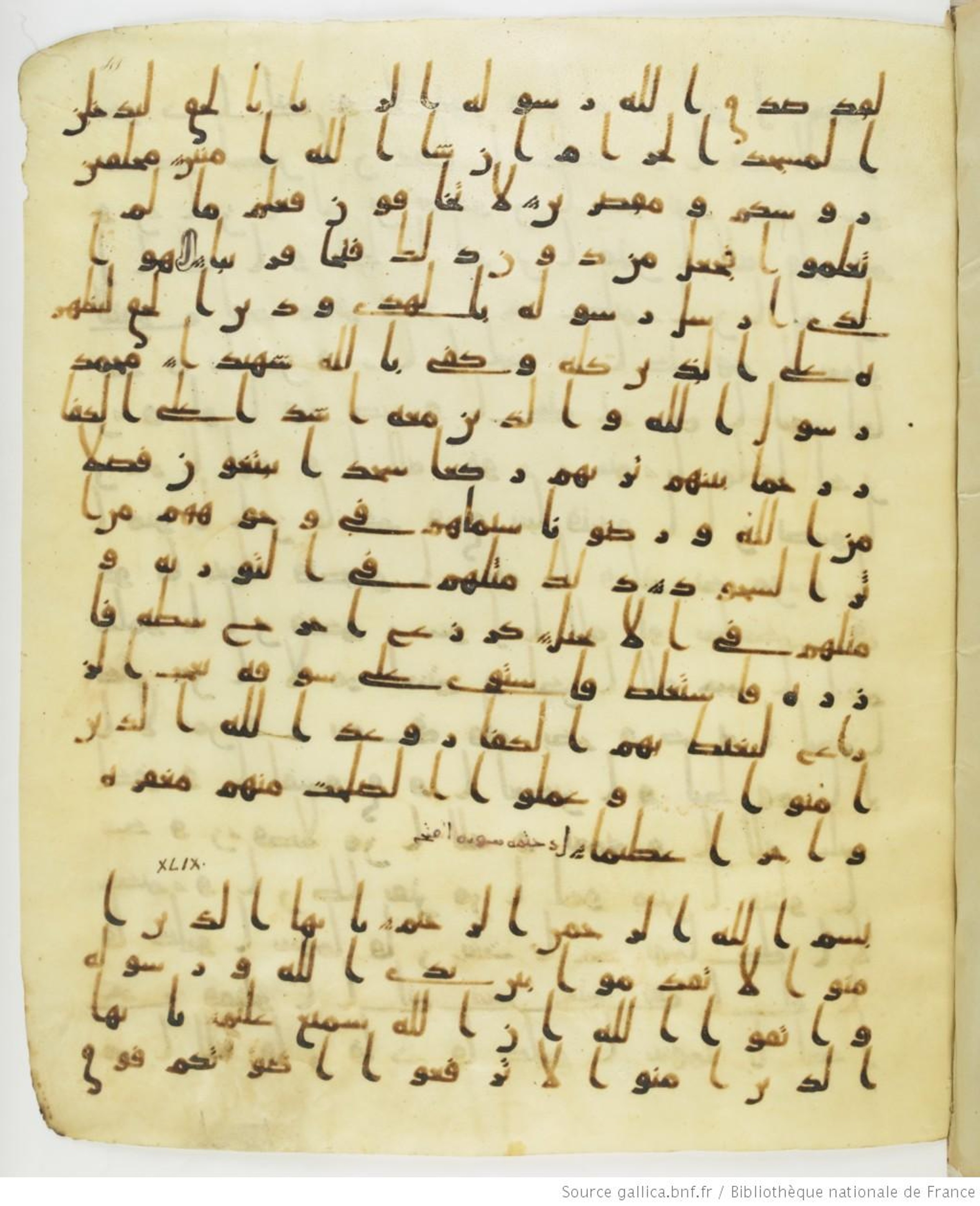 Staatsbibliothek zu Berlin, Ms. or. fol. 4313 (Scan 3), in Ḥiǧāzī (close to type II) script, showing Surah 49:2 from Mid to Late 7th Century AD found in Fustat (Old Cairo), Egypt, currently housed at Staatsbibliothek zu Berlin, Berlin