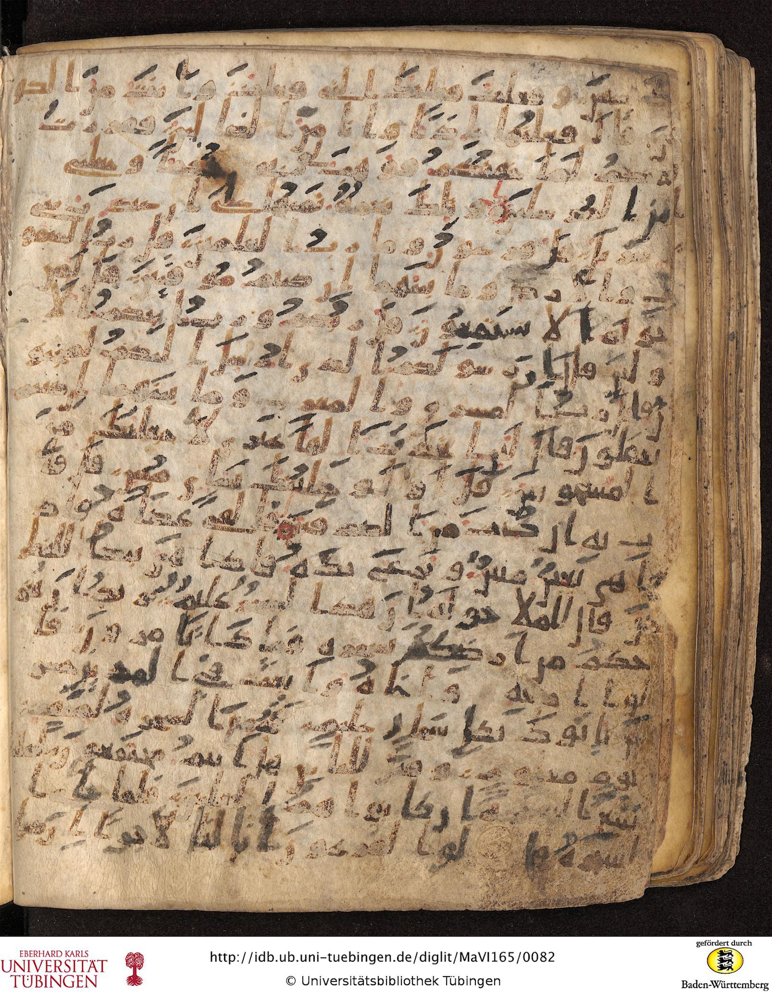 Staatsbibliothek zu Berlin, Ms. or. fol. 4313 (Scan 4), in Ḥiǧāzī (close to type II) script, showing Surah 26:39 from Mid to Late 7th Century AD found in Fustat (Old Cairo), Egypt, currently housed at Staatsbibliothek zu Berlin, Berlin