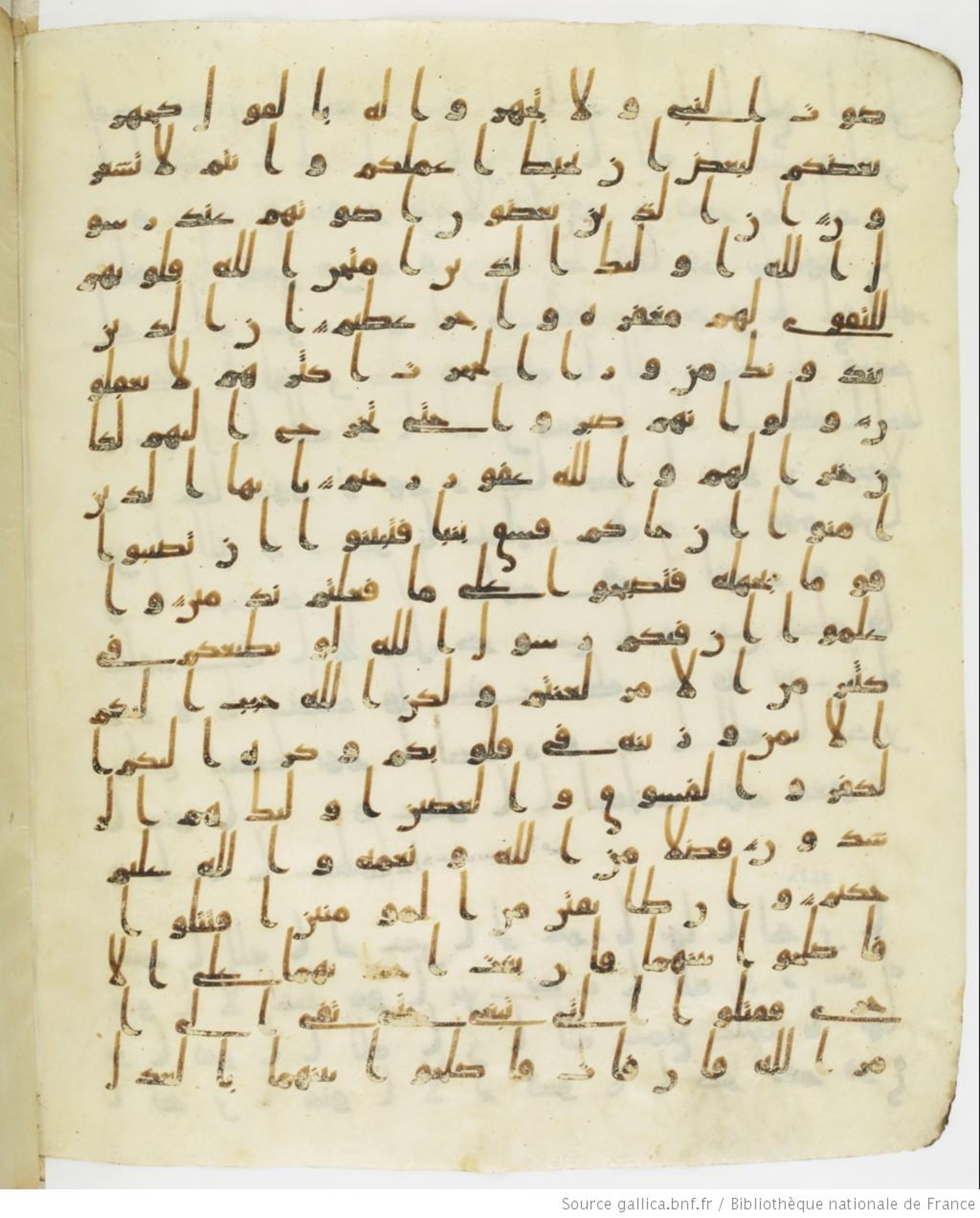 Staatsbibliothek zu Berlin, Ms. or. fol. 4313 (Scan 4), in Ḥiǧāzī (close to type II) script, showing Surah 49:2 from Mid to Late 7th Century AD found in Fustat (Old Cairo), Egypt, currently housed at Staatsbibliothek zu Berlin, Berlin