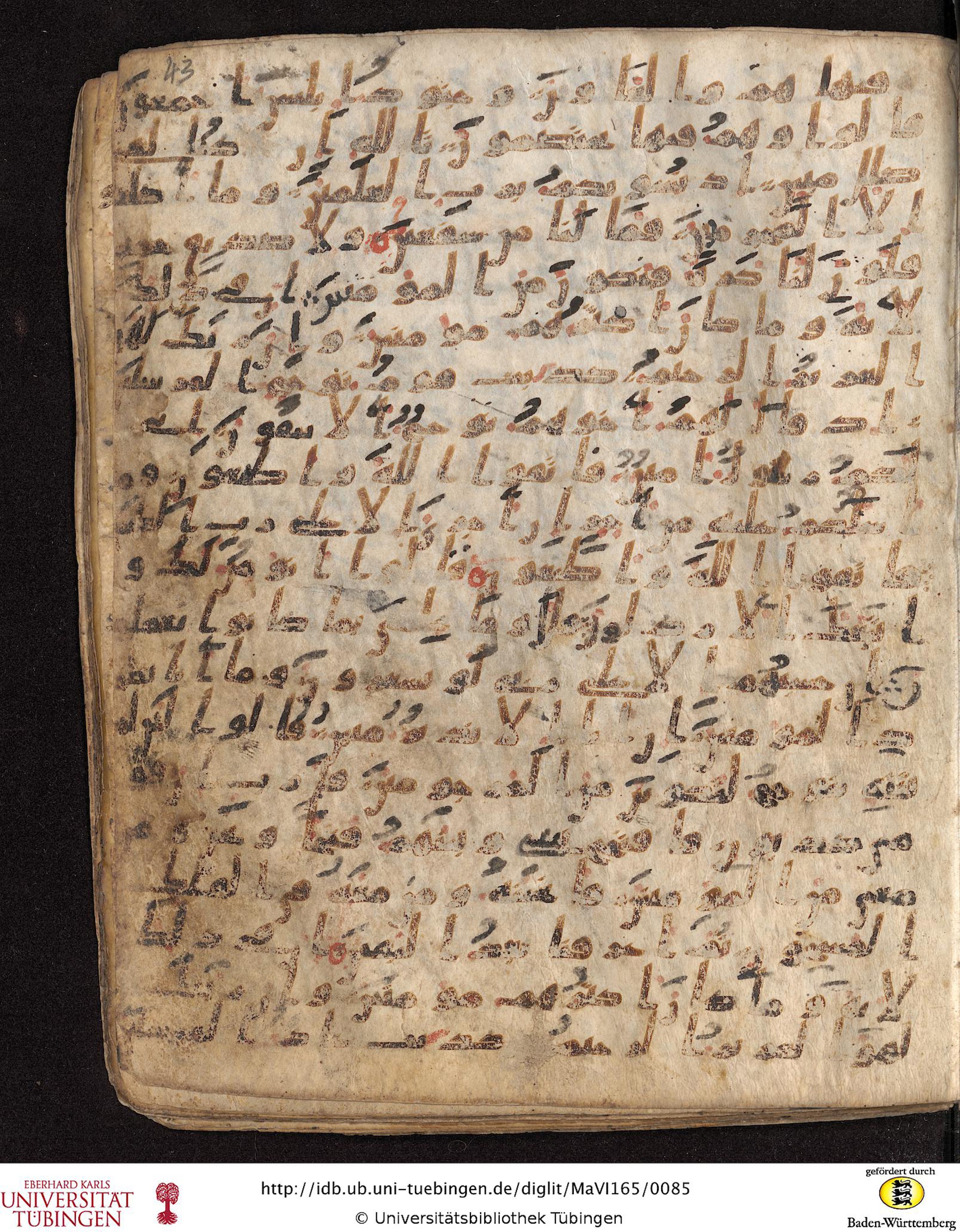 Staatsbibliothek zu Berlin, Ms. or. fol. 4313 (Scan 3), in Ḥiǧāzī (close to type II) script, showing Surah 26:113 from Mid to Late 7th Century AD found in Fustat (Old Cairo), Egypt, currently housed at Staatsbibliothek zu Berlin, Berlin