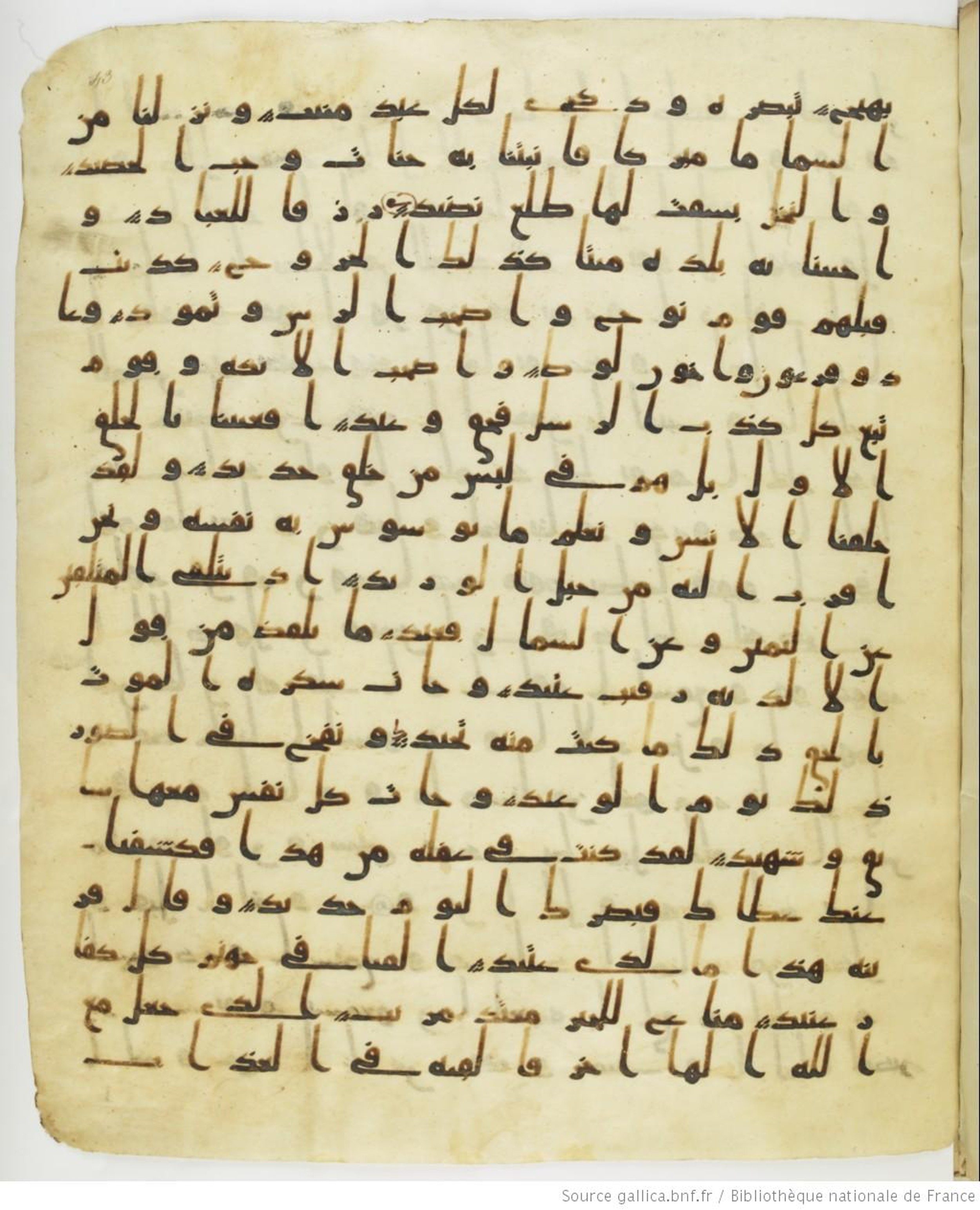Staatsbibliothek zu Berlin, Ms. or. fol. 4313 (Scan 4), in Ḥiǧāzī (close to type II) script, showing Surah 50:21 from Mid to Late 7th Century AD found in Fustat (Old Cairo), Egypt, currently housed at Staatsbibliothek zu Berlin, Berlin