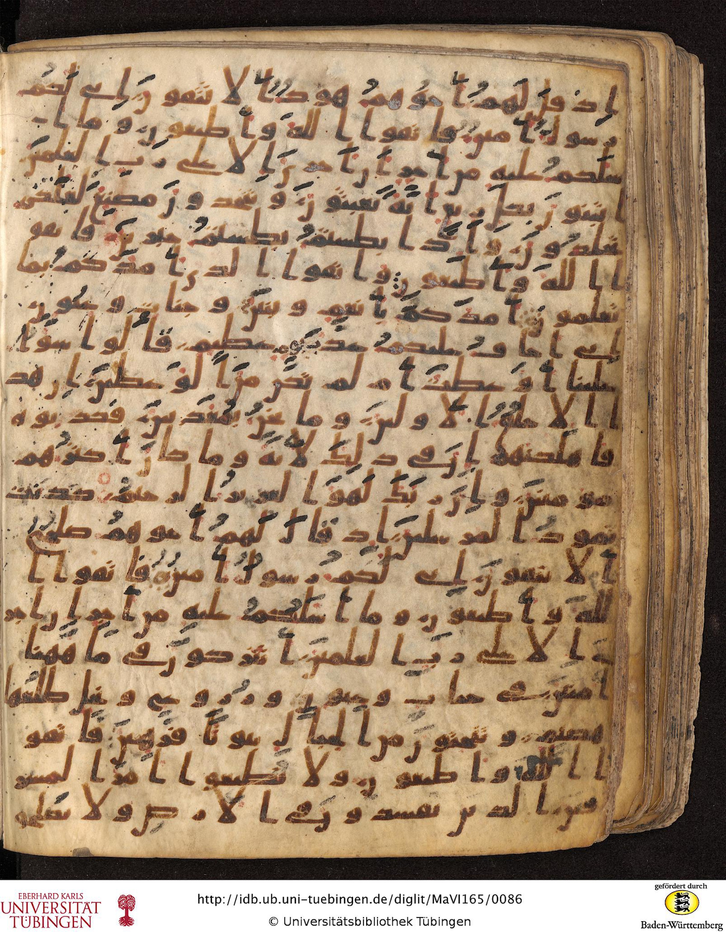 Staatsbibliothek zu Berlin, Ms. or. fol. 4313 (Scan 3), in Ḥiǧāzī (close to type II) script, showing Surah 26:136 from Mid to Late 7th Century AD found in Fustat (Old Cairo), Egypt, currently housed at Staatsbibliothek zu Berlin, Berlin
