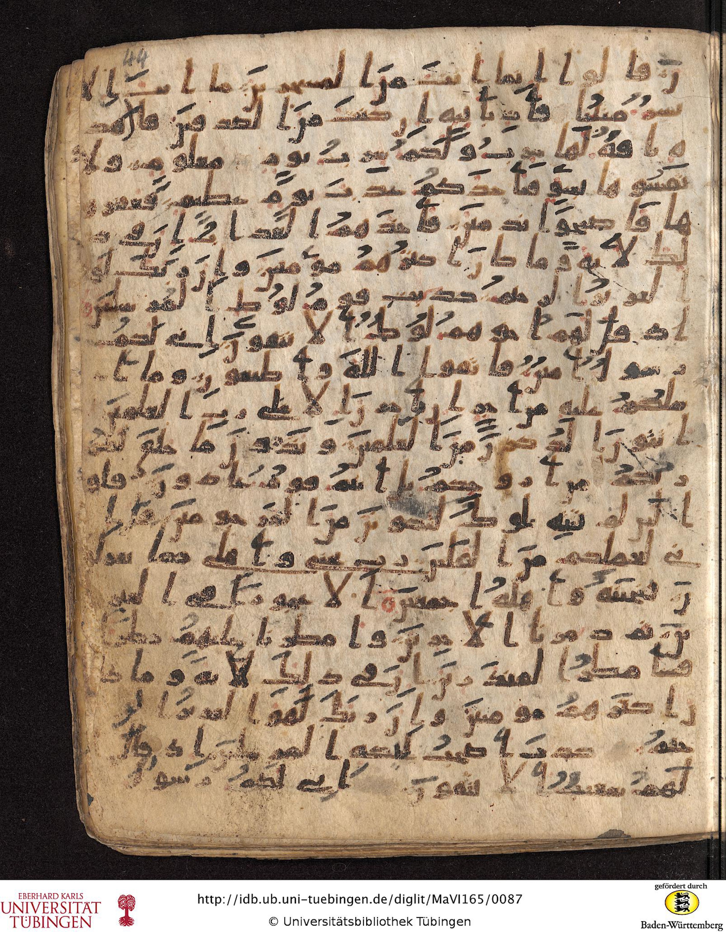Staatsbibliothek zu Berlin, Ms. or. fol. 4313 (Scan 4), in Ḥiǧāzī (close to type II) script, showing Surah 26:175 from Mid to Late 7th Century AD found in Fustat (Old Cairo), Egypt, currently housed at Staatsbibliothek zu Berlin, Berlin