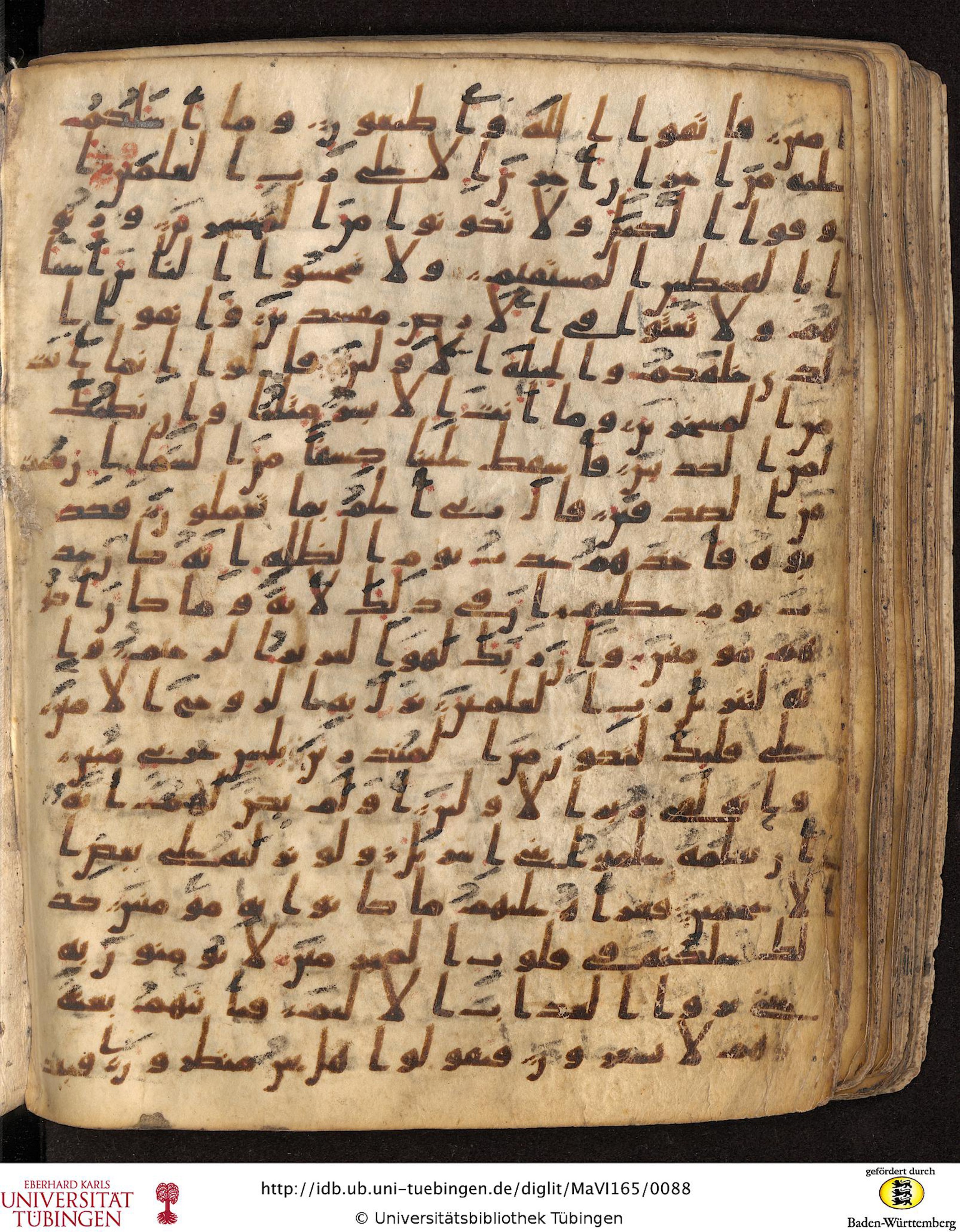 Staatsbibliothek zu Berlin, Ms. or. fol. 4313 (Scan 3), in Ḥiǧāzī (close to type II) script, showing Surah 26:201 from Mid to Late 7th Century AD found in Fustat (Old Cairo), Egypt, currently housed at Staatsbibliothek zu Berlin, Berlin