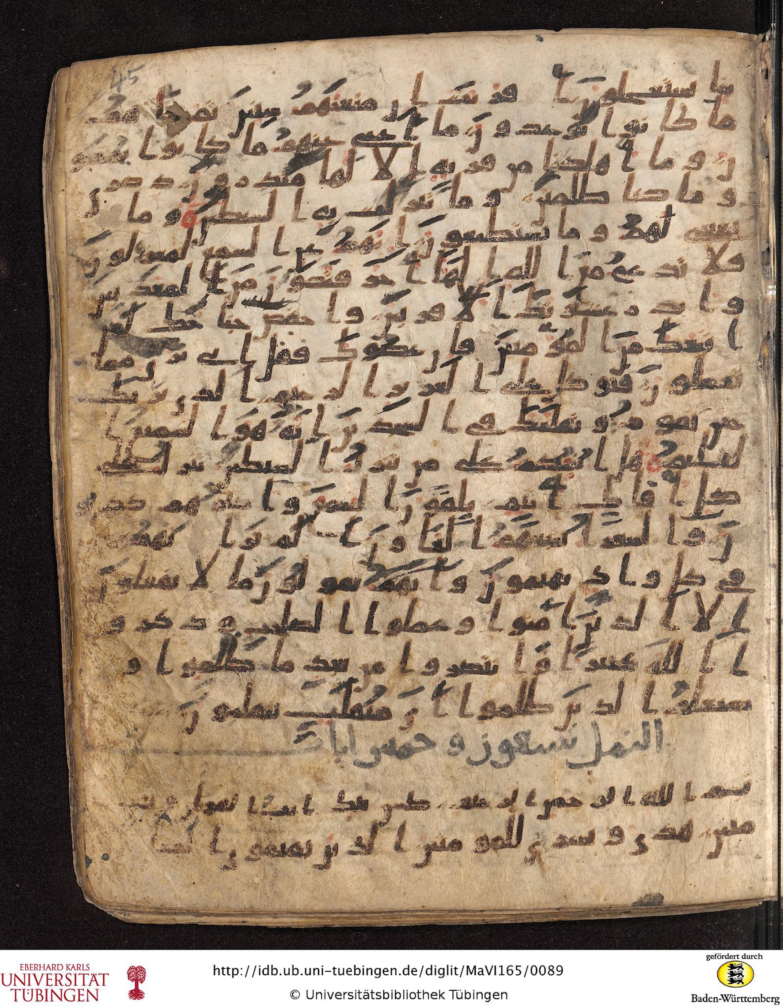 Staatsbibliothek zu Berlin, Ms. or. fol. 4313 (Scan 4), in Ḥiǧāzī (close to type II) script, showing Surah 27:3 from Mid to Late 7th Century AD found in Fustat (Old Cairo), Egypt, currently housed at Staatsbibliothek zu Berlin, Berlin