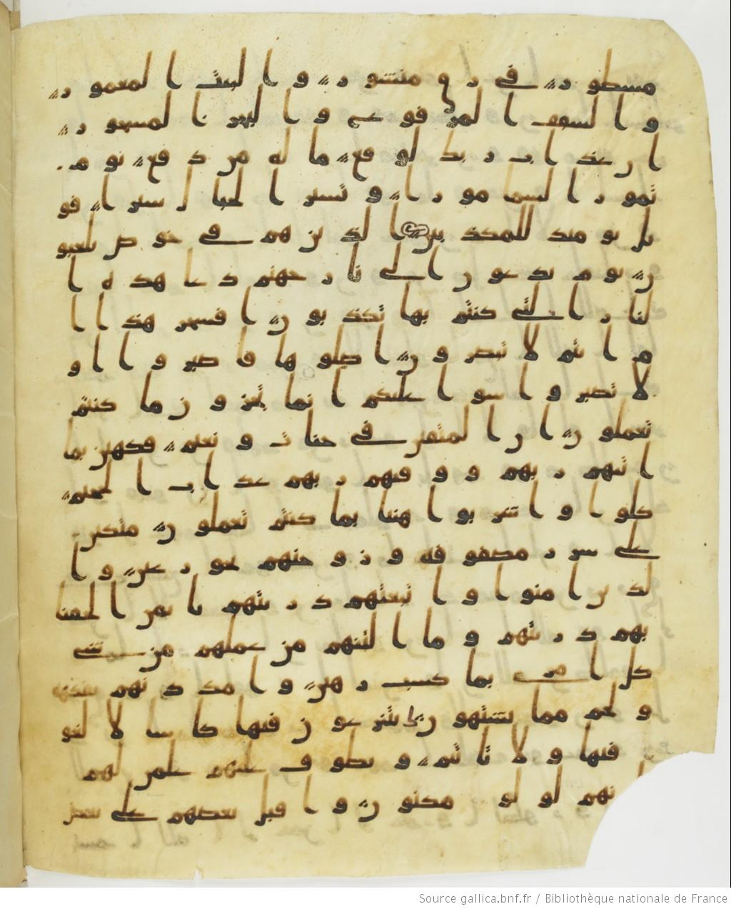 Staatsbibliothek zu Berlin, Ms. or. fol. 4313 (Scan 4), in Ḥiǧāzī (close to type II) script, showing Surah 52:21 from Mid to Late 7th Century AD found in Fustat (Old Cairo), Egypt, currently housed at Staatsbibliothek zu Berlin, Berlin
