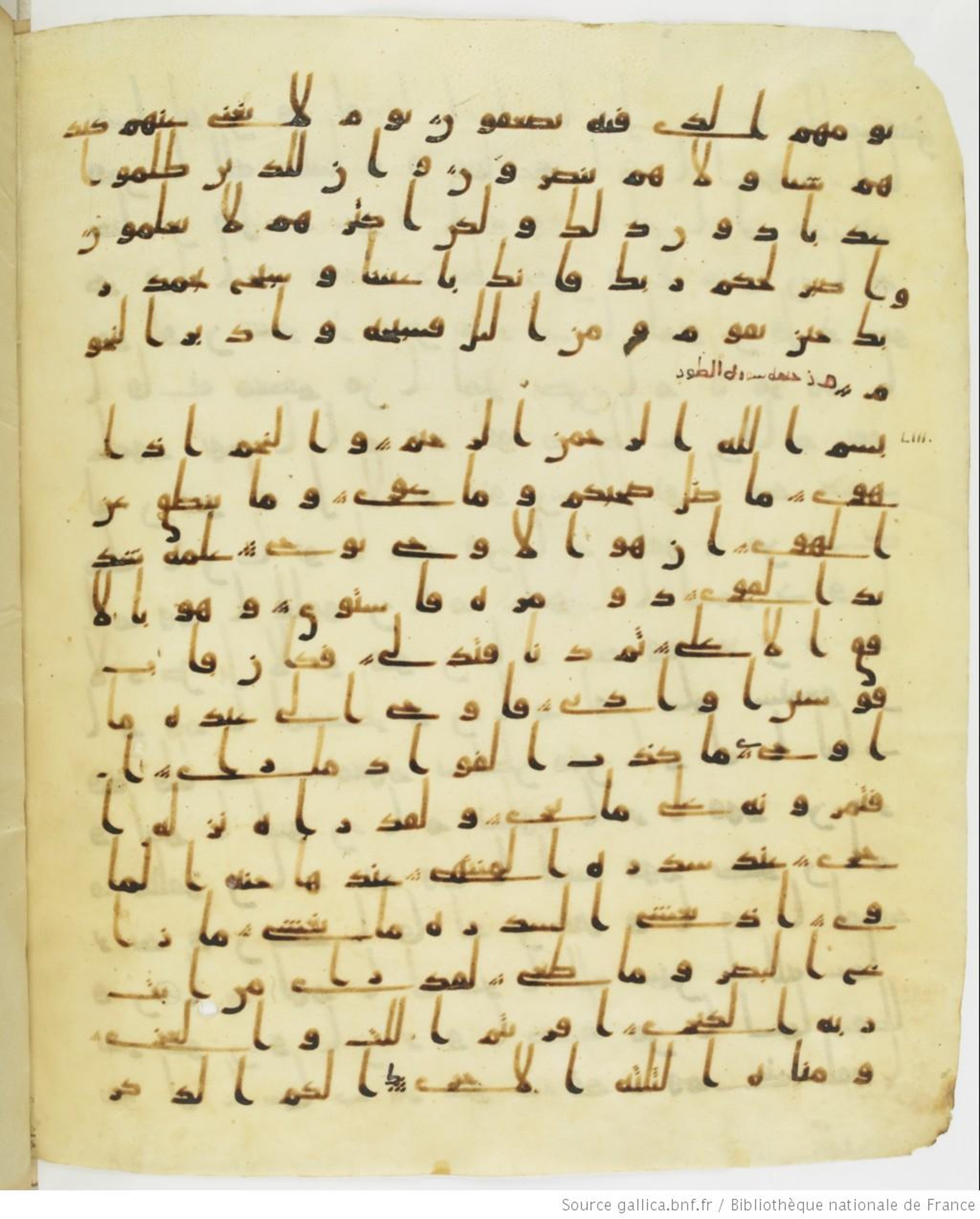Staatsbibliothek zu Berlin, Ms. or. fol. 4313 (Scan 3), in Ḥiǧāzī (close to type II) script, showing Surah 52:49 from Mid to Late 7th Century AD found in Fustat (Old Cairo), Egypt, currently housed at Staatsbibliothek zu Berlin, Berlin