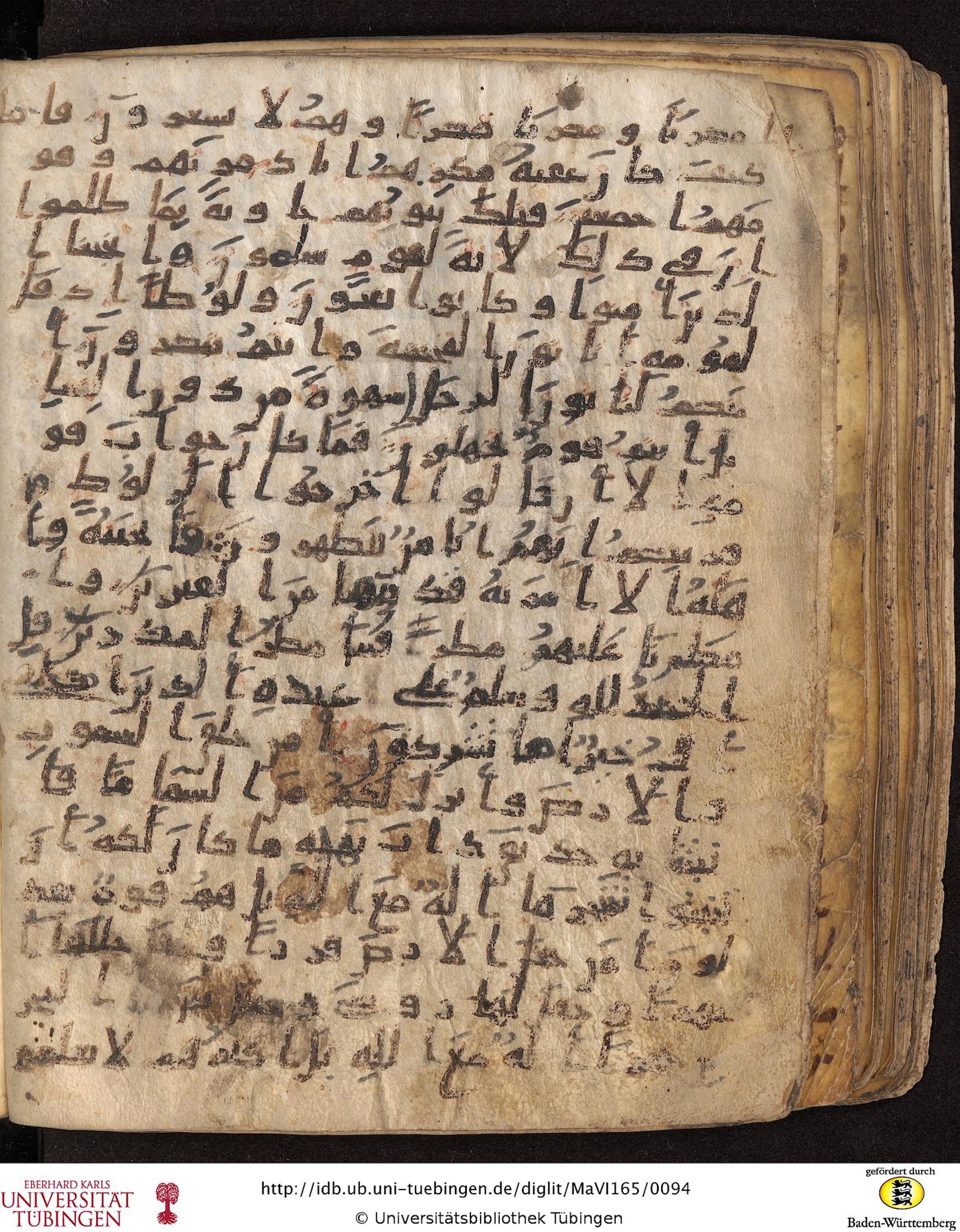 Staatsbibliothek zu Berlin, Ms. or. fol. 4313 (Scan 4), in Ḥiǧāzī (close to type II) script, showing Surah 27:52 from Mid to Late 7th Century AD found in Fustat (Old Cairo), Egypt, currently housed at Staatsbibliothek zu Berlin, Berlin