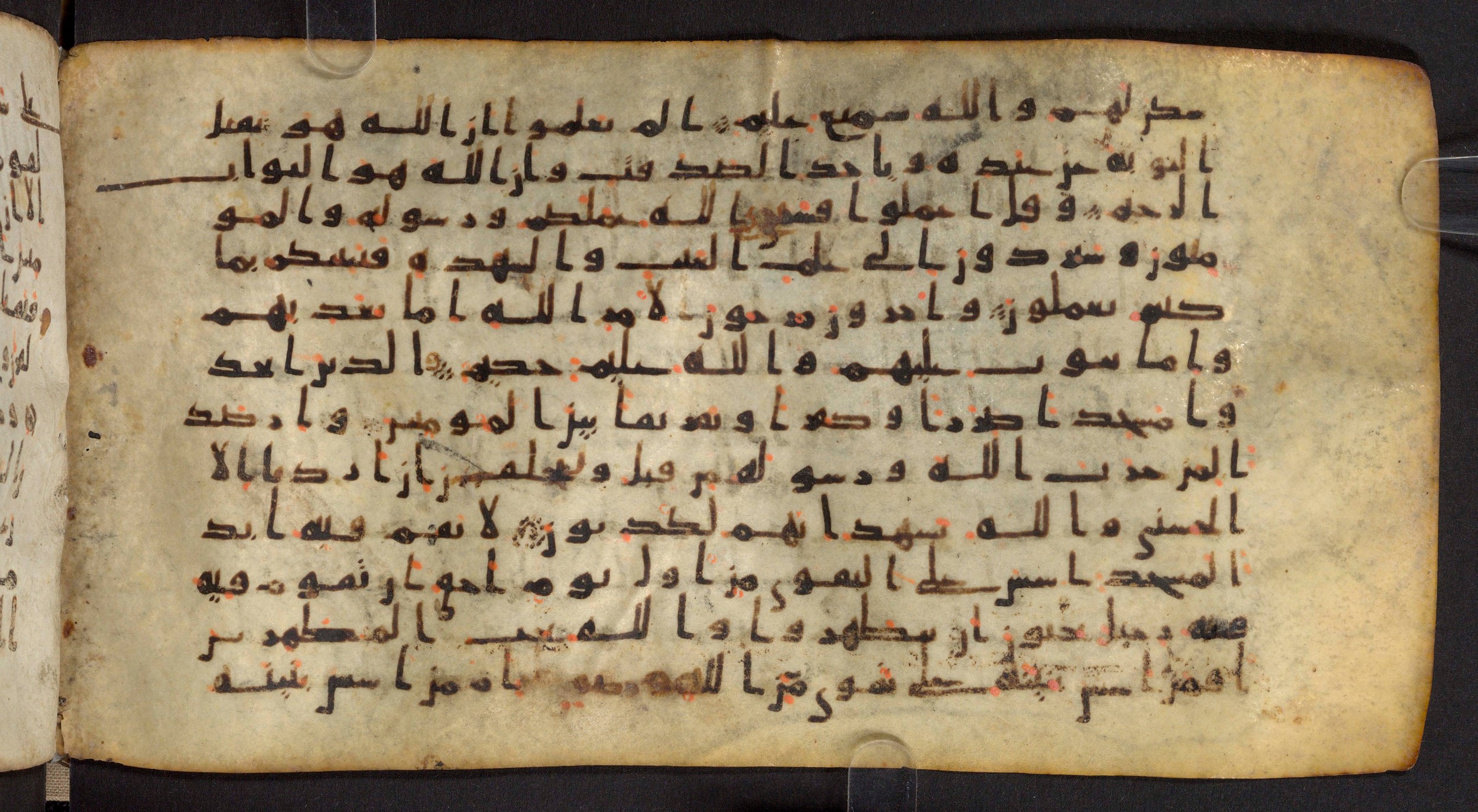 Staatsbibliothek zu Berlin, Ms. or. fol. 4313 (Scan 2), in Ḥiǧāzī (close to type II) script, showing Surah 9:103 from Mid to Late 7th Century AD found in Fustat (Old Cairo), Egypt, currently housed at Staatsbibliothek zu Berlin, Berlin