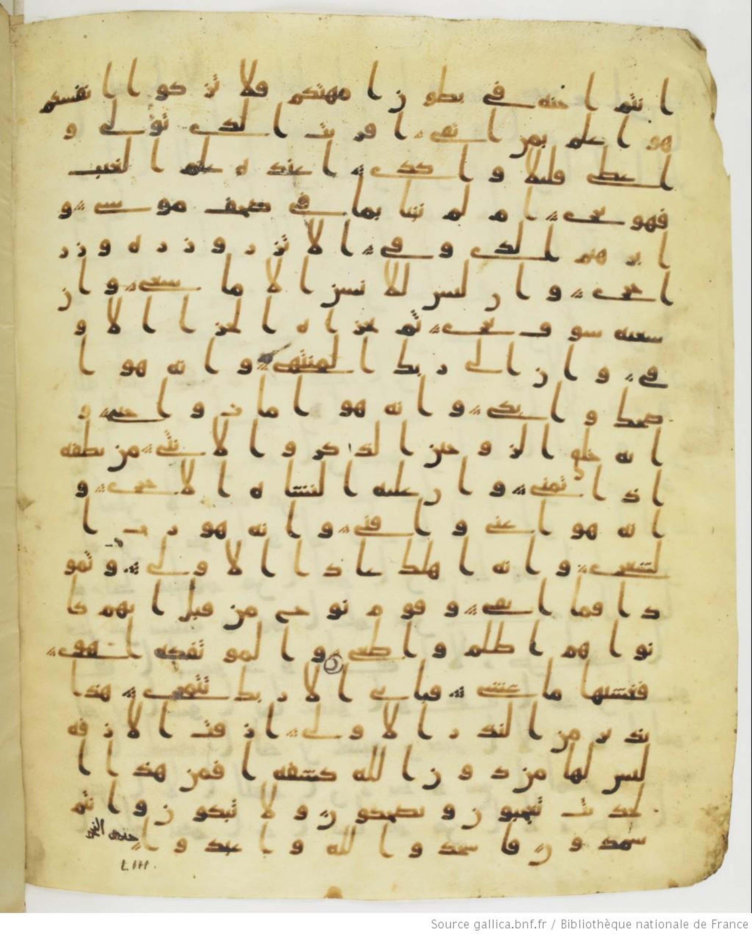 Staatsbibliothek zu Berlin, Ms. or. fol. 4313 (Scan 4), in Ḥiǧāzī (close to type II) script, showing Surah 53:39 from Mid to Late 7th Century AD found in Fustat (Old Cairo), Egypt, currently housed at Staatsbibliothek zu Berlin, Berlin