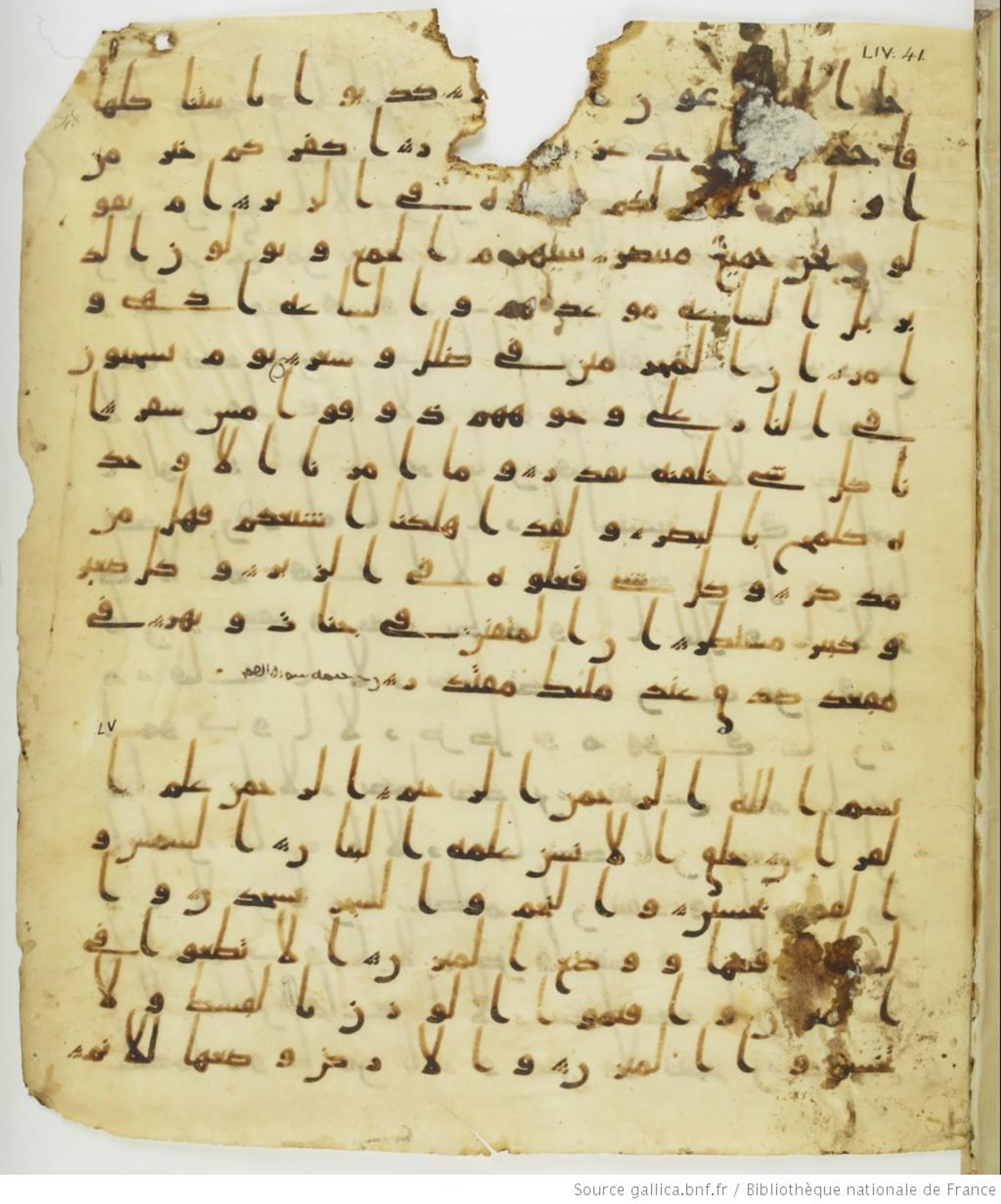 Staatsbibliothek zu Berlin, Ms. or. fol. 4313 (Scan 3), in Ḥiǧāzī (close to type II) script, showing Surah 55:2 from Mid to Late 7th Century AD found in Fustat (Old Cairo), Egypt, currently housed at Staatsbibliothek zu Berlin, Berlin