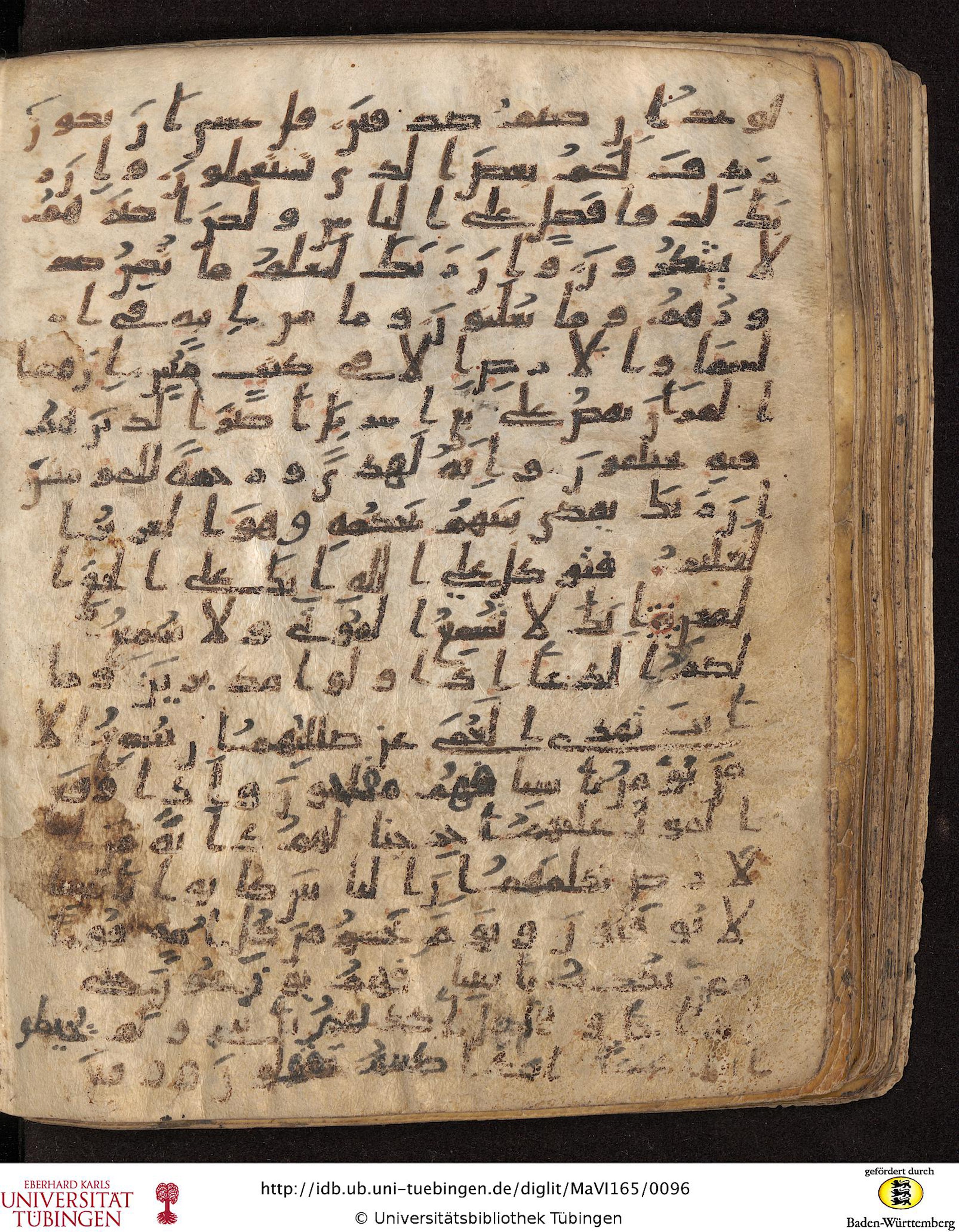Staatsbibliothek zu Berlin, Ms. or. fol. 4313 (Scan 4), in Ḥiǧāzī (close to type II) script, showing Surah 27:71 from Mid to Late 7th Century AD found in Fustat (Old Cairo), Egypt, currently housed at Staatsbibliothek zu Berlin, Berlin