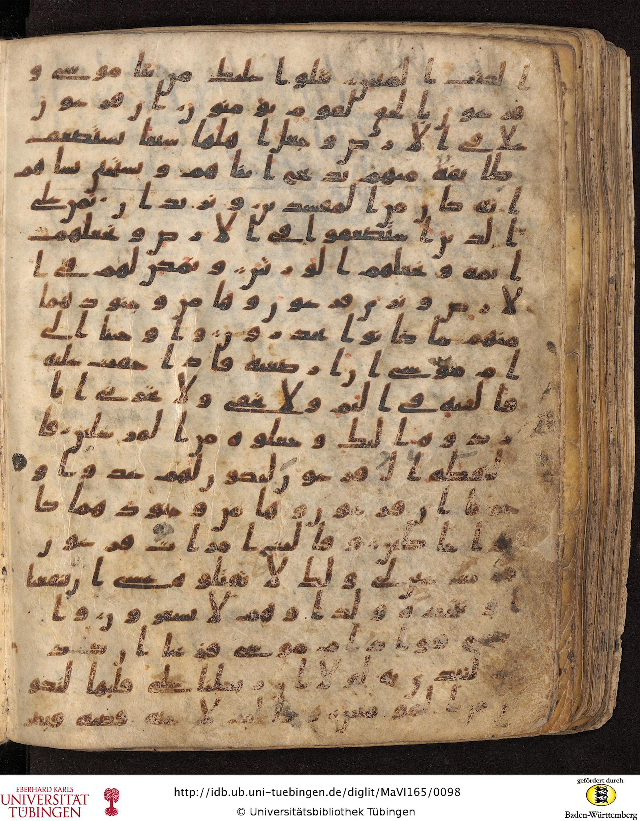 Staatsbibliothek zu Berlin, Ms. or. fol. 4313 (Scan 4), in Ḥiǧāzī (close to type II) script, showing Surah 28:2 from Mid to Late 7th Century AD found in Fustat (Old Cairo), Egypt, currently housed at Staatsbibliothek zu Berlin, Berlin