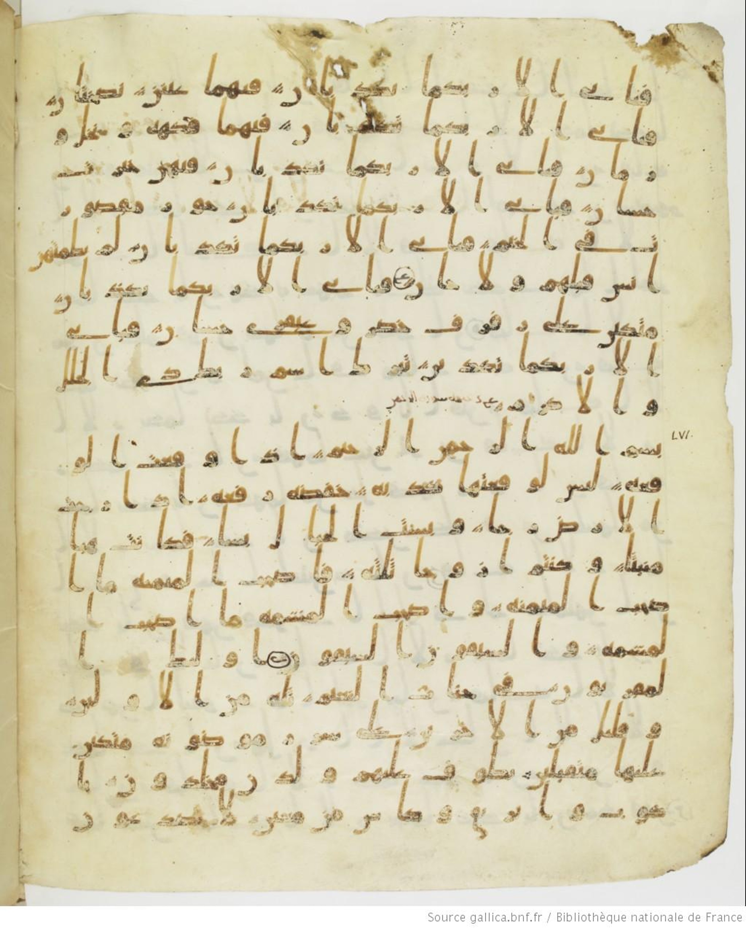 Staatsbibliothek zu Berlin, Ms. or. fol. 4313 (Scan 3), in Ḥiǧāzī (close to type II) script, showing Surah 56:13 from Mid to Late 7th Century AD found in Fustat (Old Cairo), Egypt, currently housed at Staatsbibliothek zu Berlin, Berlin