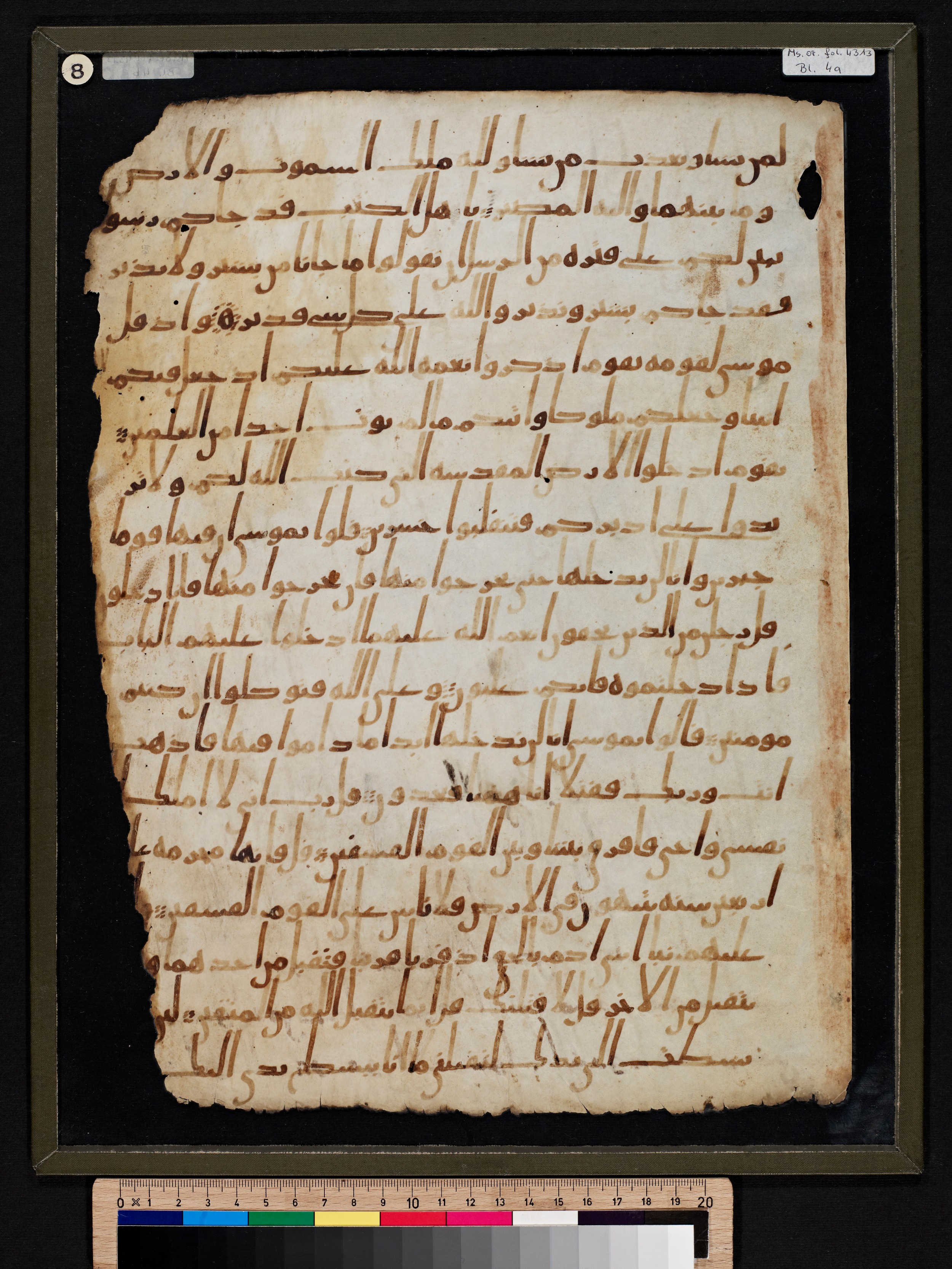 Staatsbibliothek zu Berlin, Ms. or. fol. 4313 (Scan 5), in Ḥiǧāzī (close to type II) script, showing Surah 5:21 from Mid to Late 7th Century AD found in Fustat (Old Cairo), Egypt, currently housed at Staatsbibliothek zu Berlin, Berlin