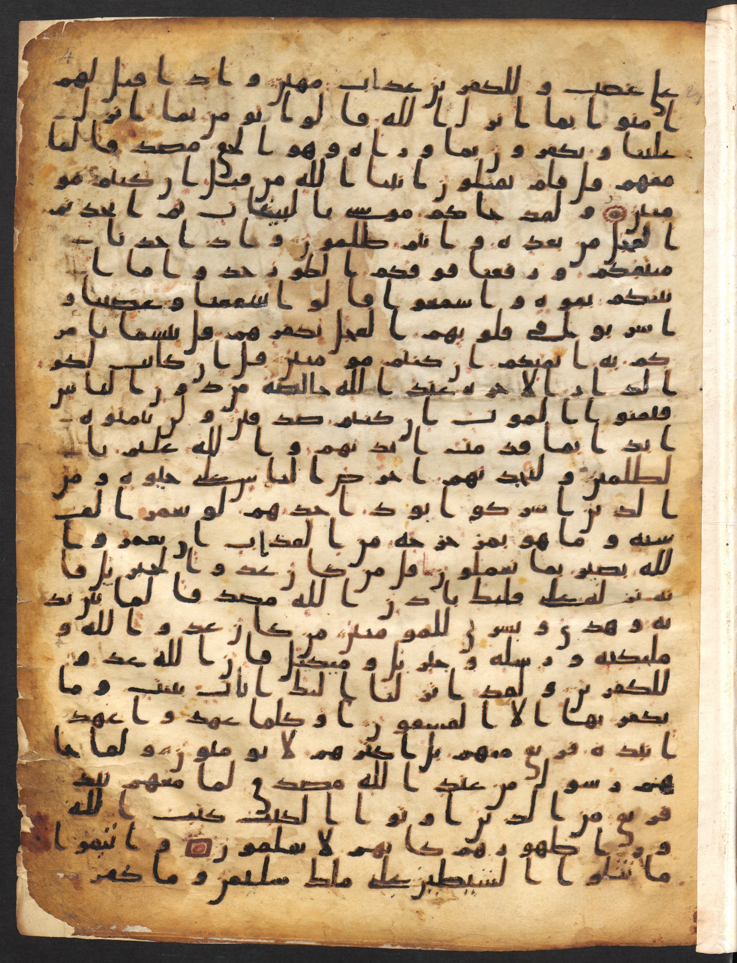 Staatsbibliothek zu Berlin, Ms. or. fol. 4313 (Scan 1), in Ḥiǧāzī (close to type II) script, showing Surah 2:91 from Mid to Late 7th Century AD found in Fustat (Old Cairo), Egypt, currently housed at Staatsbibliothek zu Berlin, Berlin