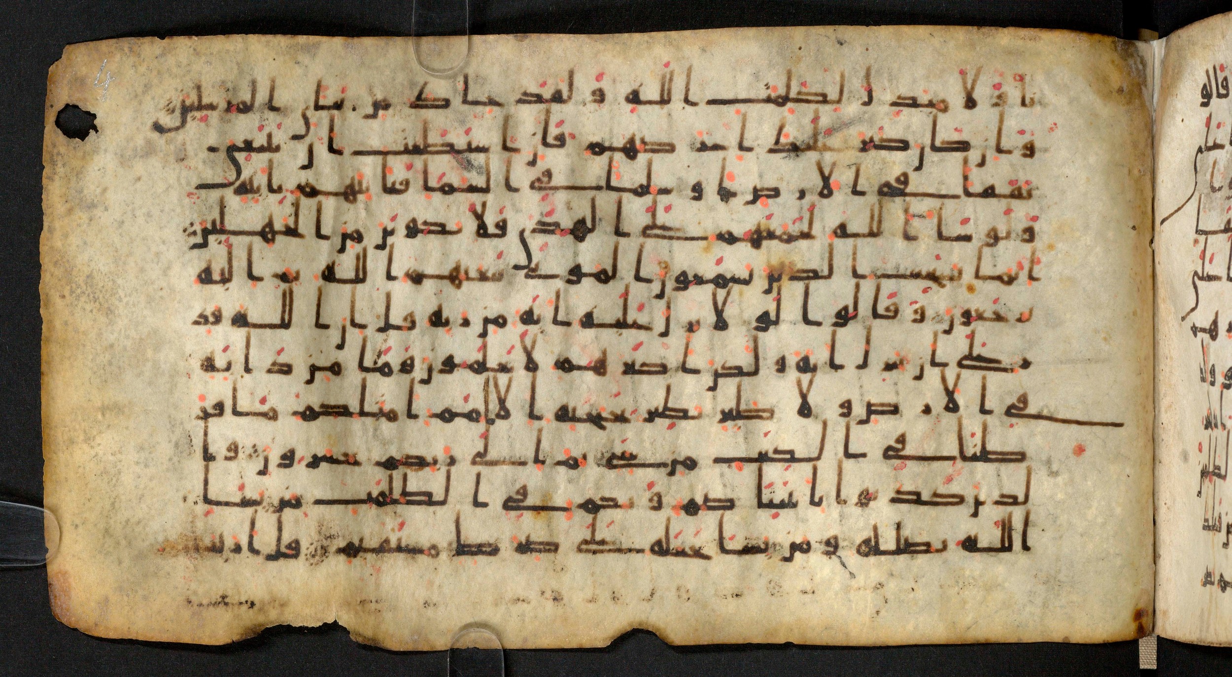 Staatsbibliothek zu Berlin, Ms. or. fol. 4313 (Scan 5), in Ḥiǧāzī (close to type II) script, showing Surah 6:39 from Mid to Late 7th Century AD found in Fustat (Old Cairo), Egypt, currently housed at Staatsbibliothek zu Berlin, Berlin