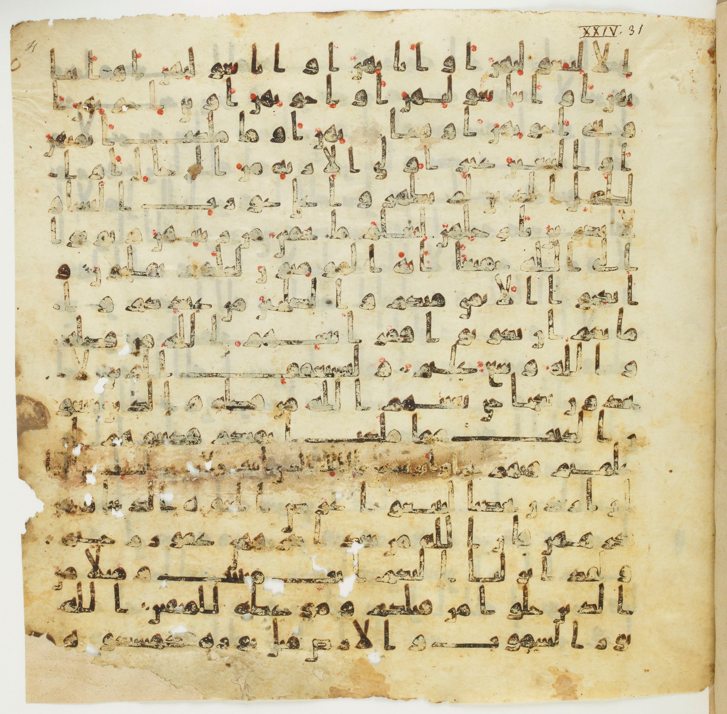 Staatsbibliothek zu Berlin, Ms. or. fol. 4313 (Scan 5), in Ḥiǧāzī (close to type II) script, showing Surah 24:32 from Mid to Late 7th Century AD found in Fustat (Old Cairo), Egypt, currently housed at Staatsbibliothek zu Berlin, Berlin