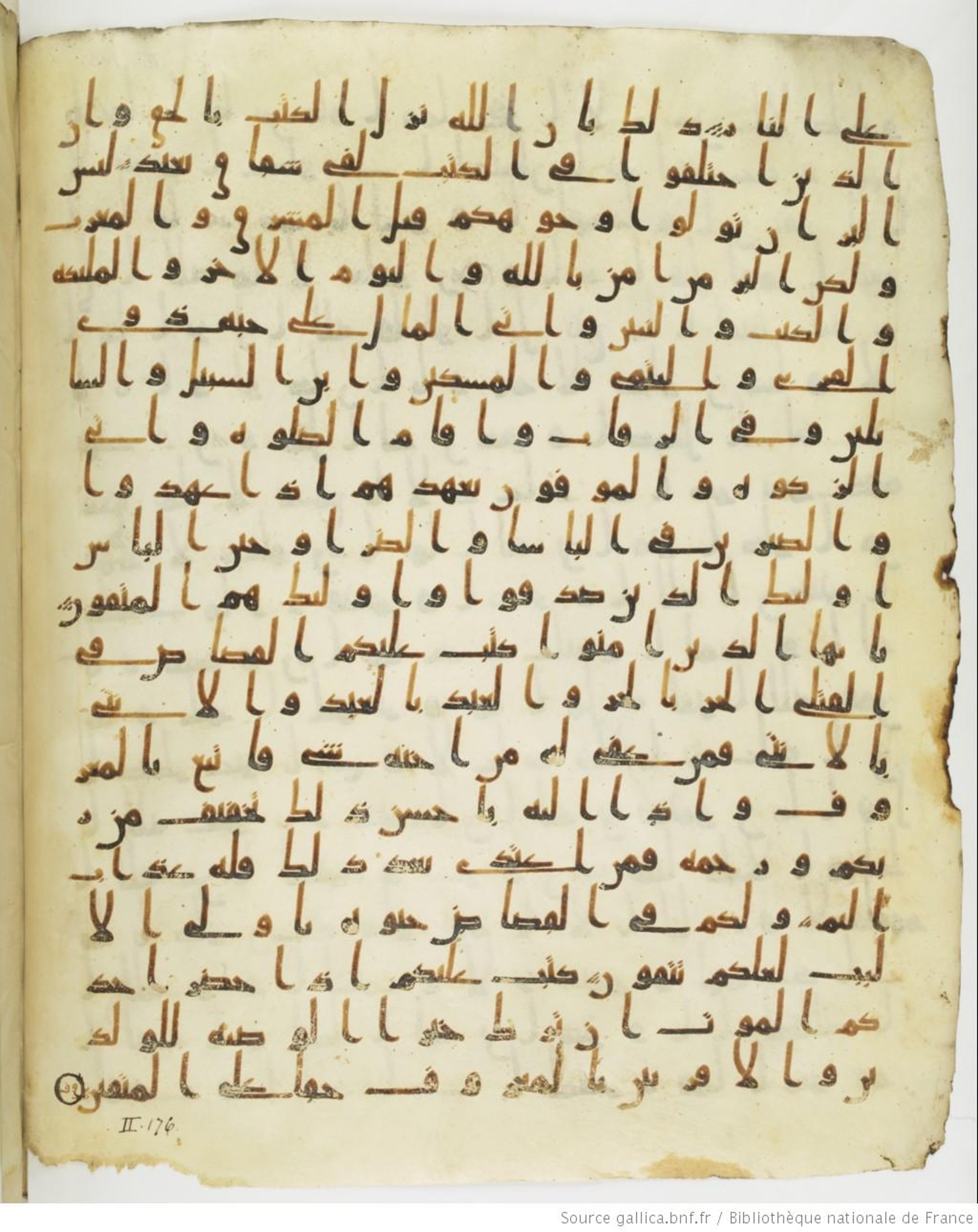 Staatsbibliothek zu Berlin, Ms. or. fol. 4313 (Scan 4), in Ḥiǧāzī (close to type II) script, showing Surah 2:175 from Mid to Late 7th Century AD found in Fustat (Old Cairo), Egypt, currently housed at Staatsbibliothek zu Berlin, Berlin