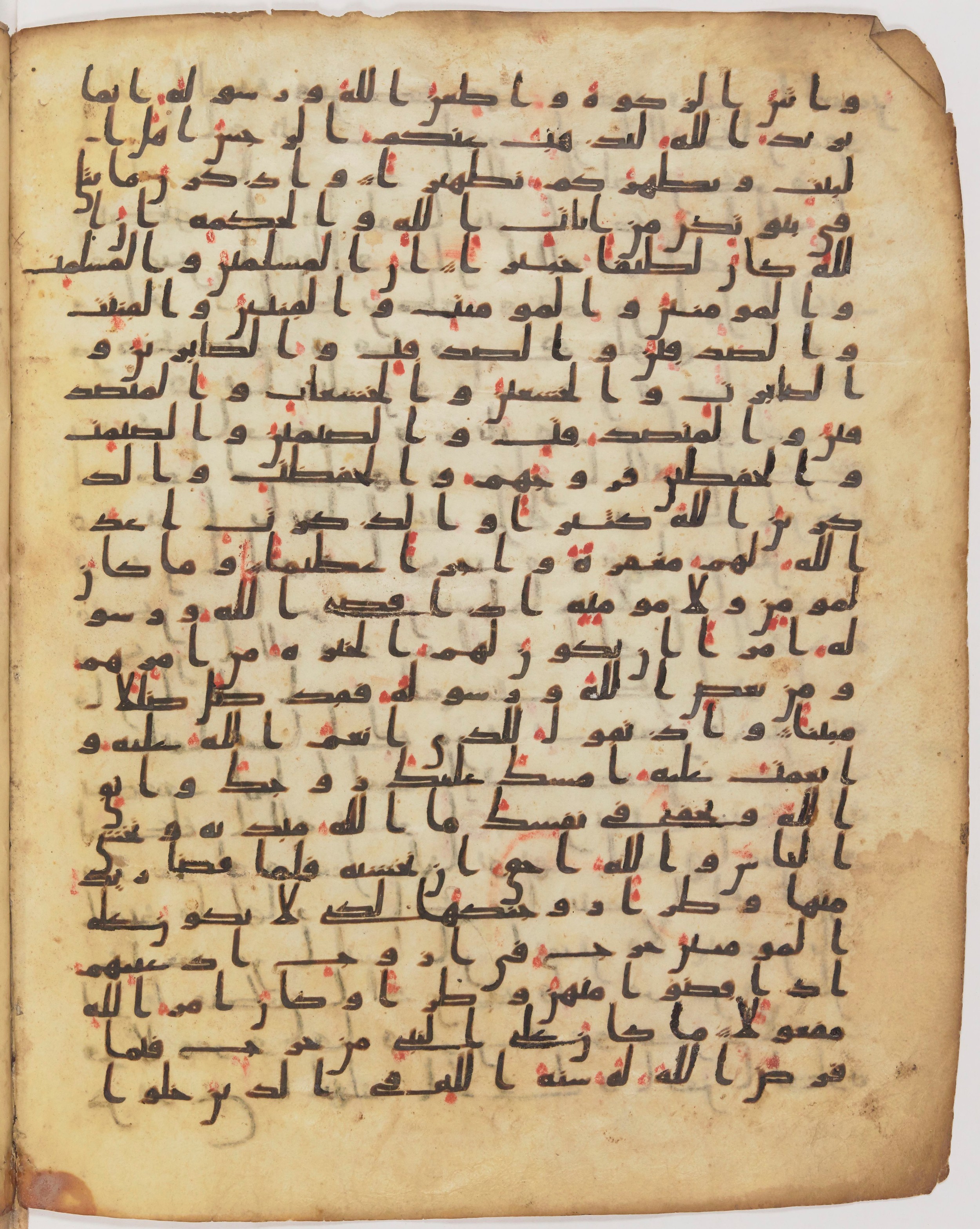 Staatsbibliothek zu Berlin, Ms. or. fol. 4313 (Scan 2), in Ḥiǧāzī (close to type II) script, showing Surah 33:37 from Mid to Late 7th Century AD found in Fustat (Old Cairo), Egypt, currently housed at Staatsbibliothek zu Berlin, Berlin