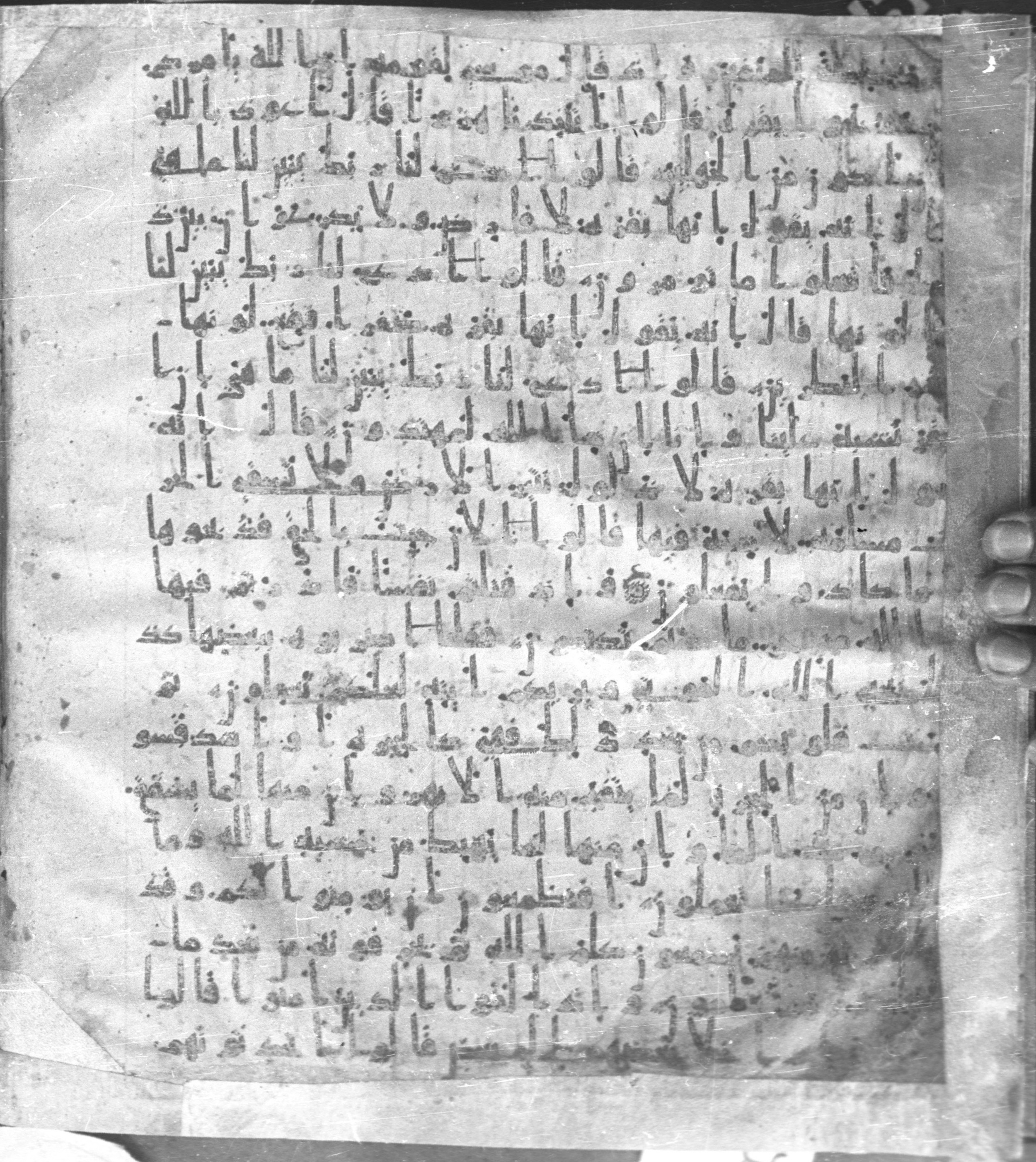 Staatsbibliothek zu Berlin, Ms. or. fol. 4313 (Scan 2), in Ḥiǧāzī (close to type II) script, showing Surah 2:71 from Mid to Late 7th Century AD found in Fustat (Old Cairo), Egypt, currently housed at Staatsbibliothek zu Berlin, Berlin