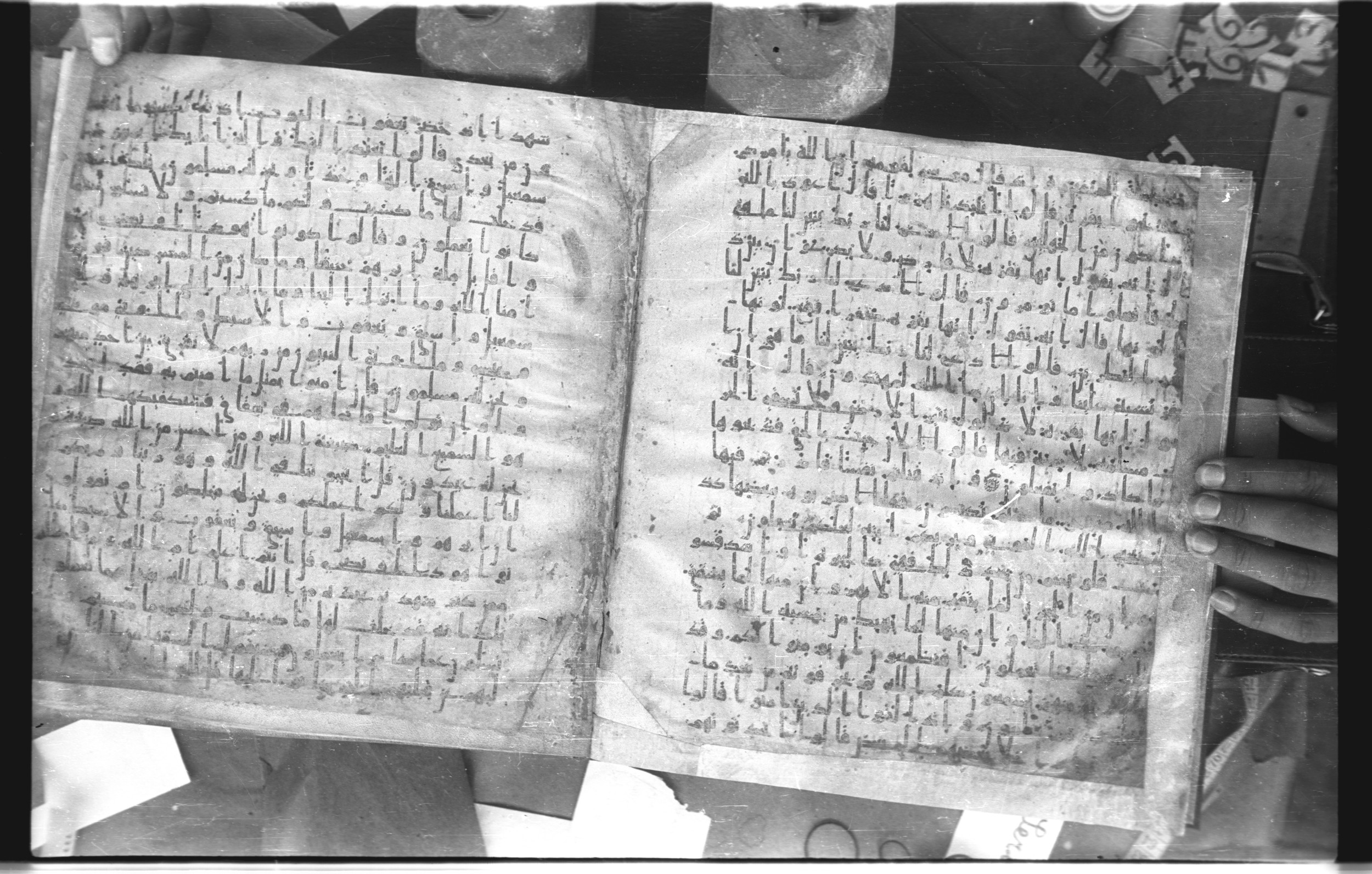 Staatsbibliothek zu Berlin, Ms. or. fol. 4313 (Scan 3), in Ḥiǧāzī (close to type II) script, showing Surah 2:71 from Mid to Late 7th Century AD found in Fustat (Old Cairo), Egypt, currently housed at Staatsbibliothek zu Berlin, Berlin