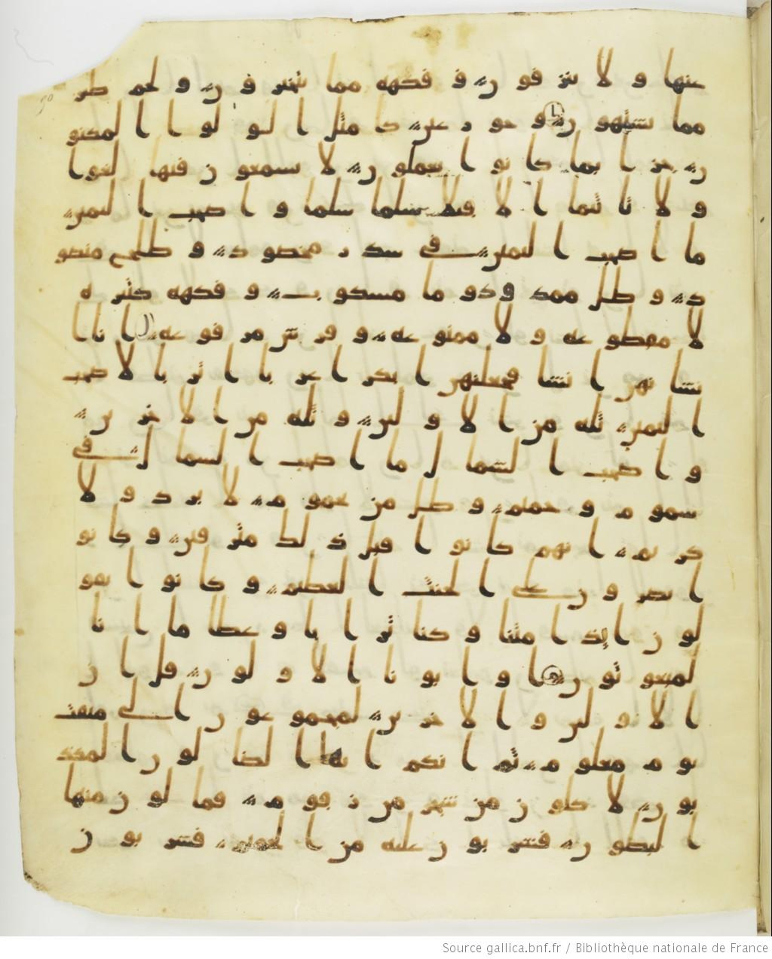 Staatsbibliothek zu Berlin, Ms. or. fol. 4313 (Scan 4), in Ḥiǧāzī (close to type II) script, showing Surah 56:21 from Mid to Late 7th Century AD found in Fustat (Old Cairo), Egypt, currently housed at Staatsbibliothek zu Berlin, Berlin