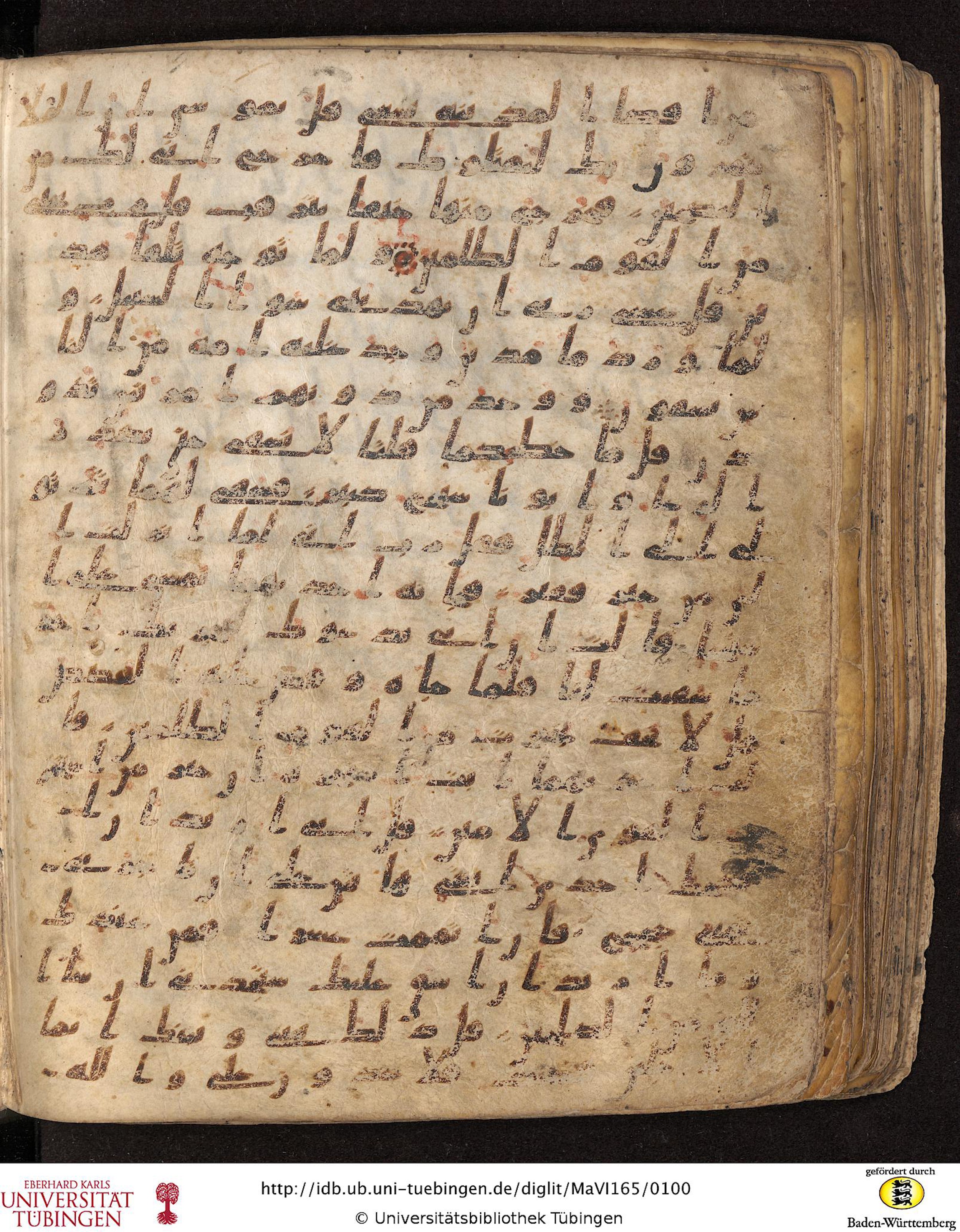 Staatsbibliothek zu Berlin, Ms. or. fol. 4313 (Scan 3), in Ḥiǧāzī (close to type II) script, showing Surah 28:23 from Mid to Late 7th Century AD found in Fustat (Old Cairo), Egypt, currently housed at Staatsbibliothek zu Berlin, Berlin