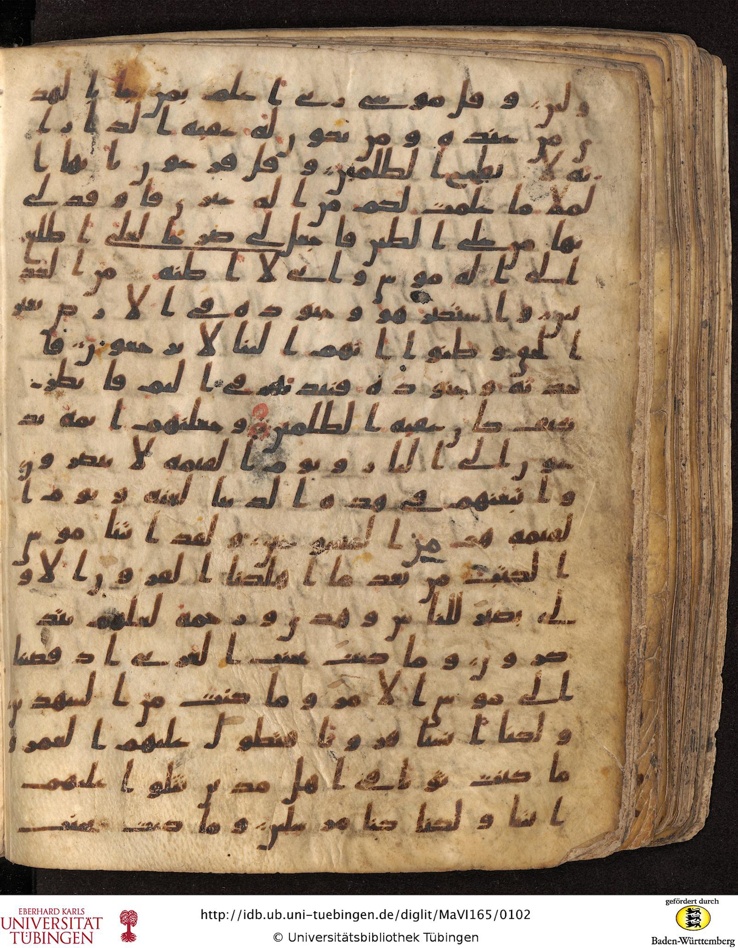 Staatsbibliothek zu Berlin, Ms. or. fol. 4313 (Scan 3), in Ḥiǧāzī (close to type II) script, showing Surah 28:39 from Mid to Late 7th Century AD found in Fustat (Old Cairo), Egypt, currently housed at Staatsbibliothek zu Berlin, Berlin