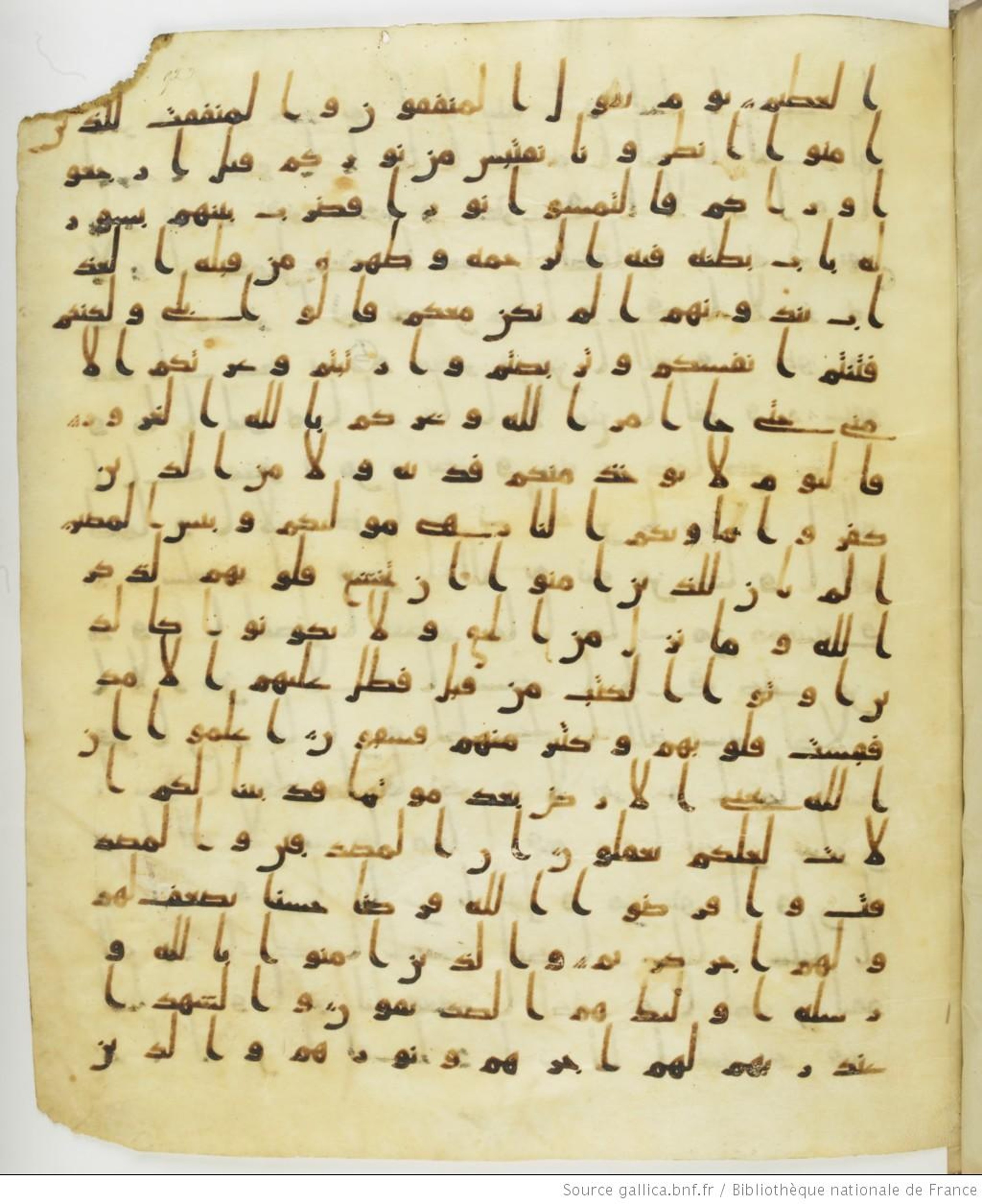 Staatsbibliothek zu Berlin, Ms. or. fol. 4313 (Scan 3), in Ḥiǧāzī (close to type II) script, showing Surah 57:13 from Mid to Late 7th Century AD found in Fustat (Old Cairo), Egypt, currently housed at Staatsbibliothek zu Berlin, Berlin