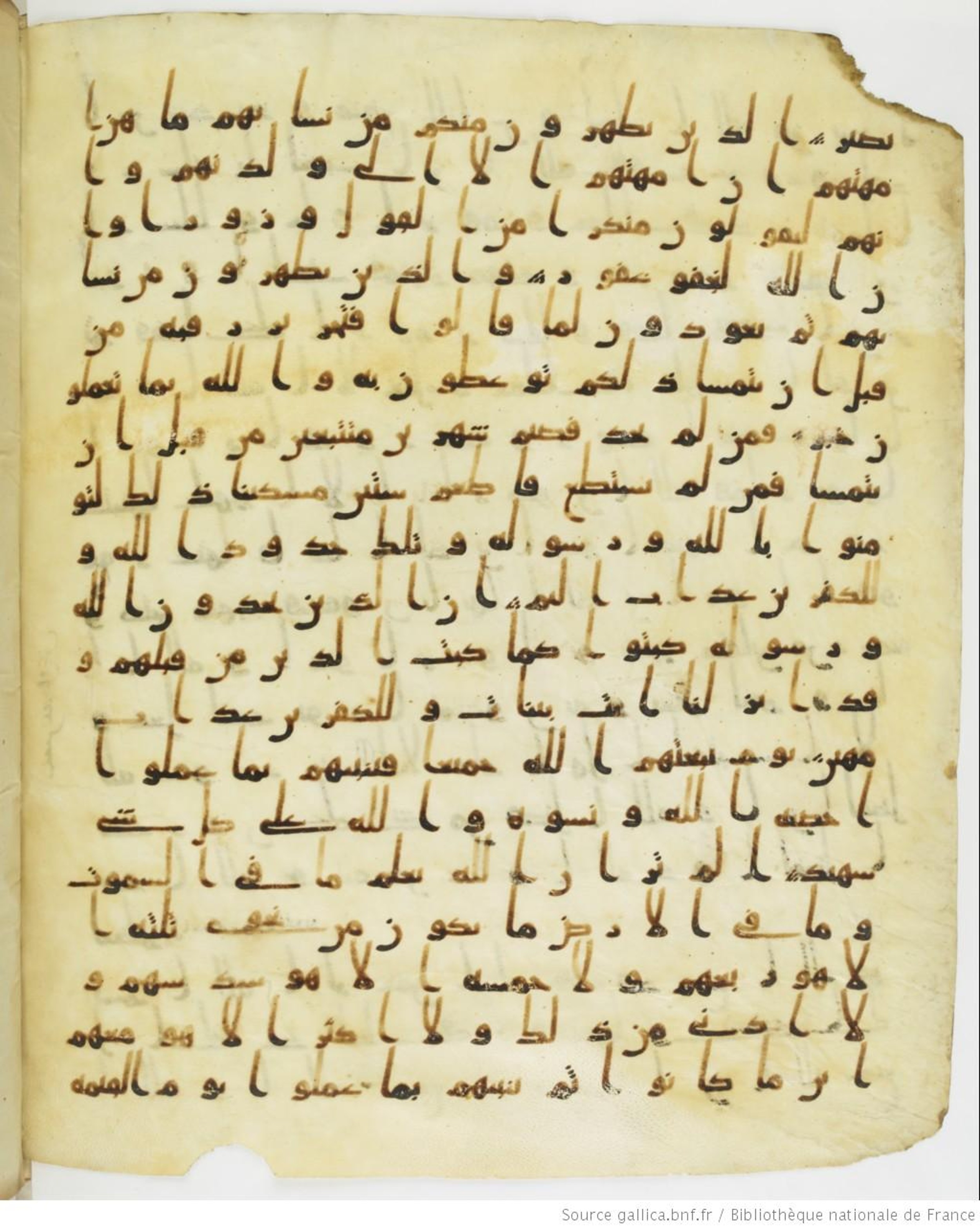 Staatsbibliothek zu Berlin, Ms. or. fol. 4313 (Scan 4), in Ḥiǧāzī (close to type II) script, showing Surah 58:2 from Mid to Late 7th Century AD found in Fustat (Old Cairo), Egypt, currently housed at Staatsbibliothek zu Berlin, Berlin