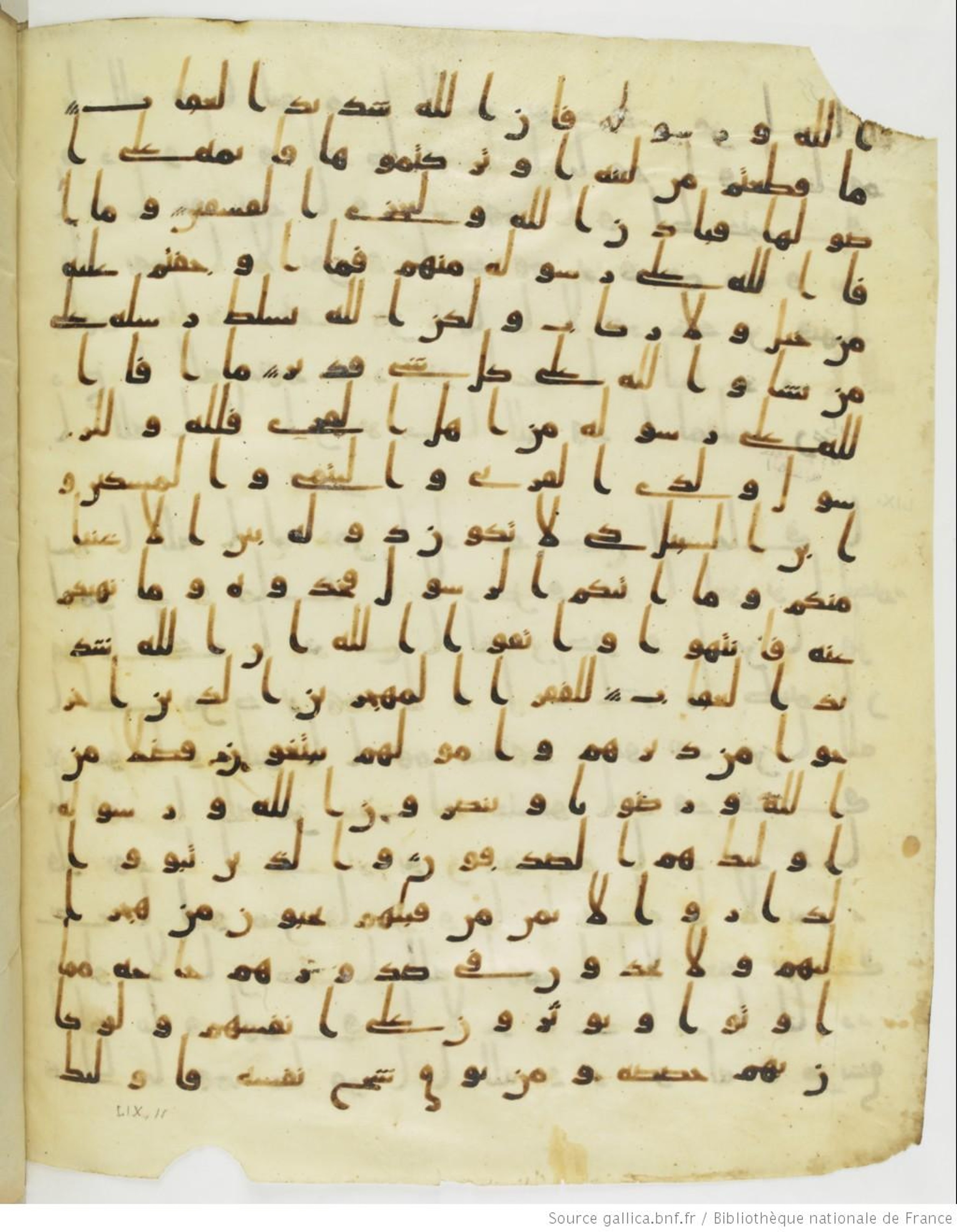 Staatsbibliothek zu Berlin, Ms. or. fol. 4313 (Scan 5), in Ḥiǧāzī (close to type II) script, showing Surah 59:4 from Mid to Late 7th Century AD found in Fustat (Old Cairo), Egypt, currently housed at Staatsbibliothek zu Berlin, Berlin