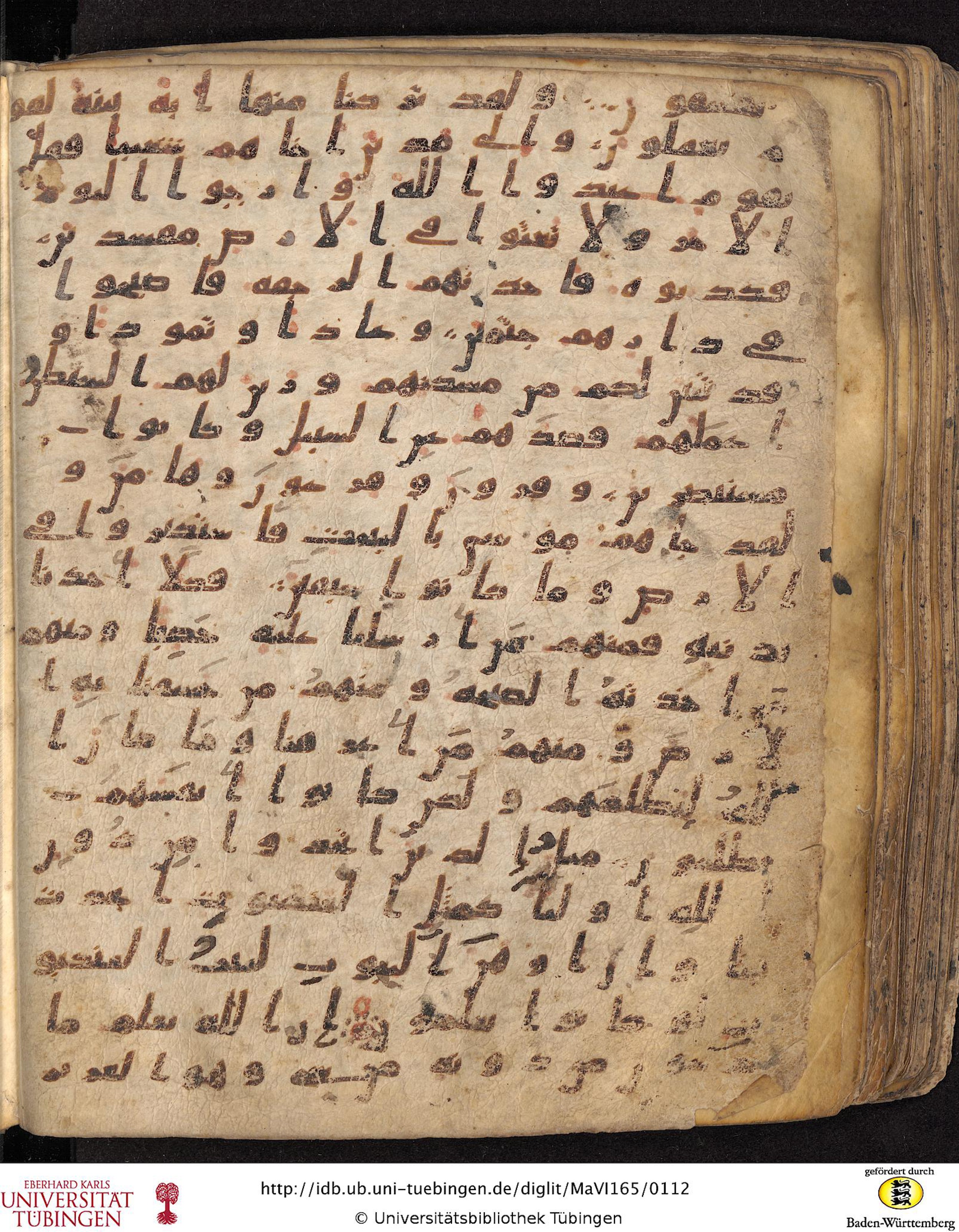 Staatsbibliothek zu Berlin, Ms. or. fol. 4313 (Scan 2), in Ḥiǧāzī (close to type II) script, showing Surah 29:39 from Mid to Late 7th Century AD found in Fustat (Old Cairo), Egypt, currently housed at Staatsbibliothek zu Berlin, Berlin