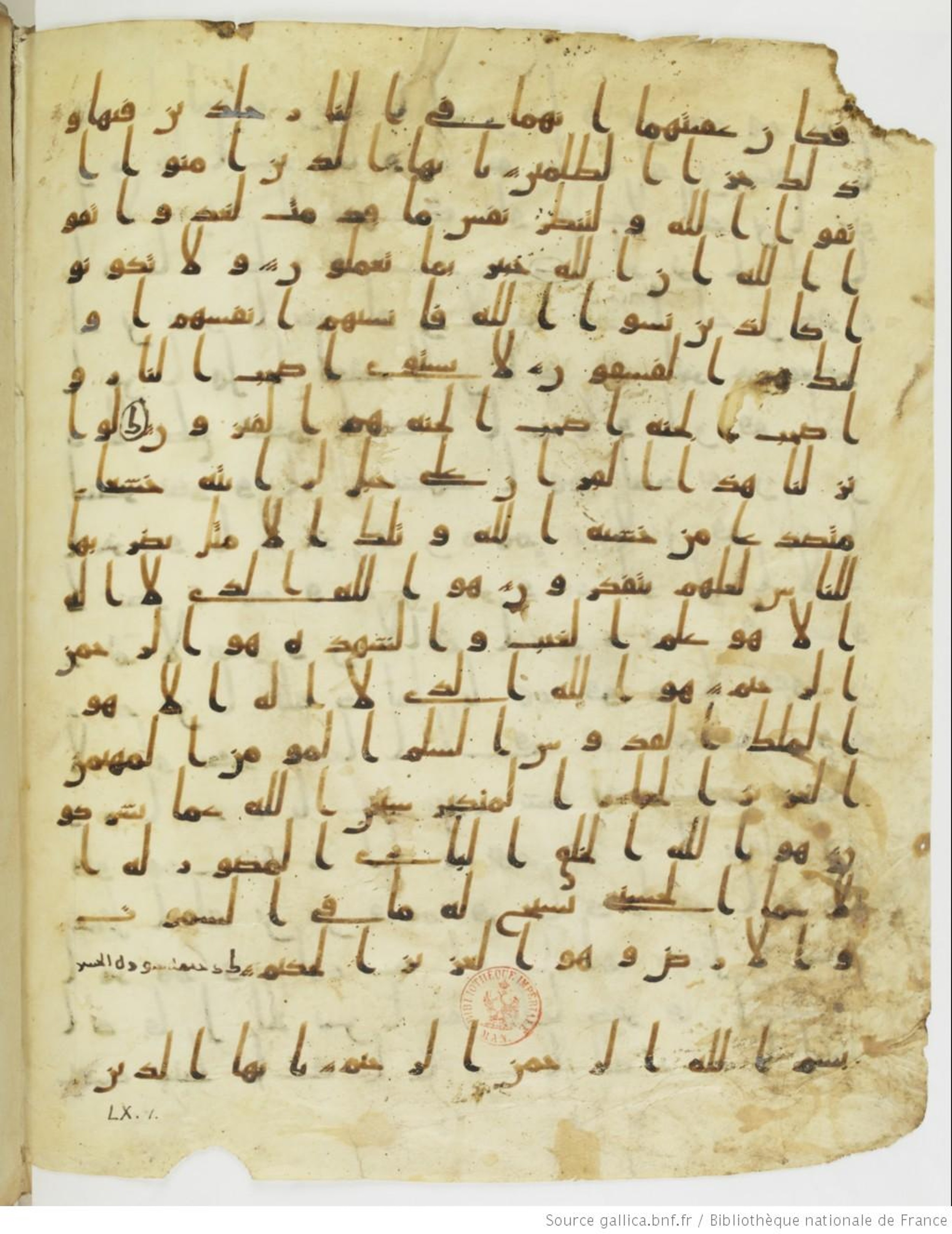 Staatsbibliothek zu Berlin, Ms. or. fol. 4313 (Scan 4), in Ḥiǧāzī (close to type II) script, showing Surah 59:21 from Mid to Late 7th Century AD found in Fustat (Old Cairo), Egypt, currently housed at Staatsbibliothek zu Berlin, Berlin