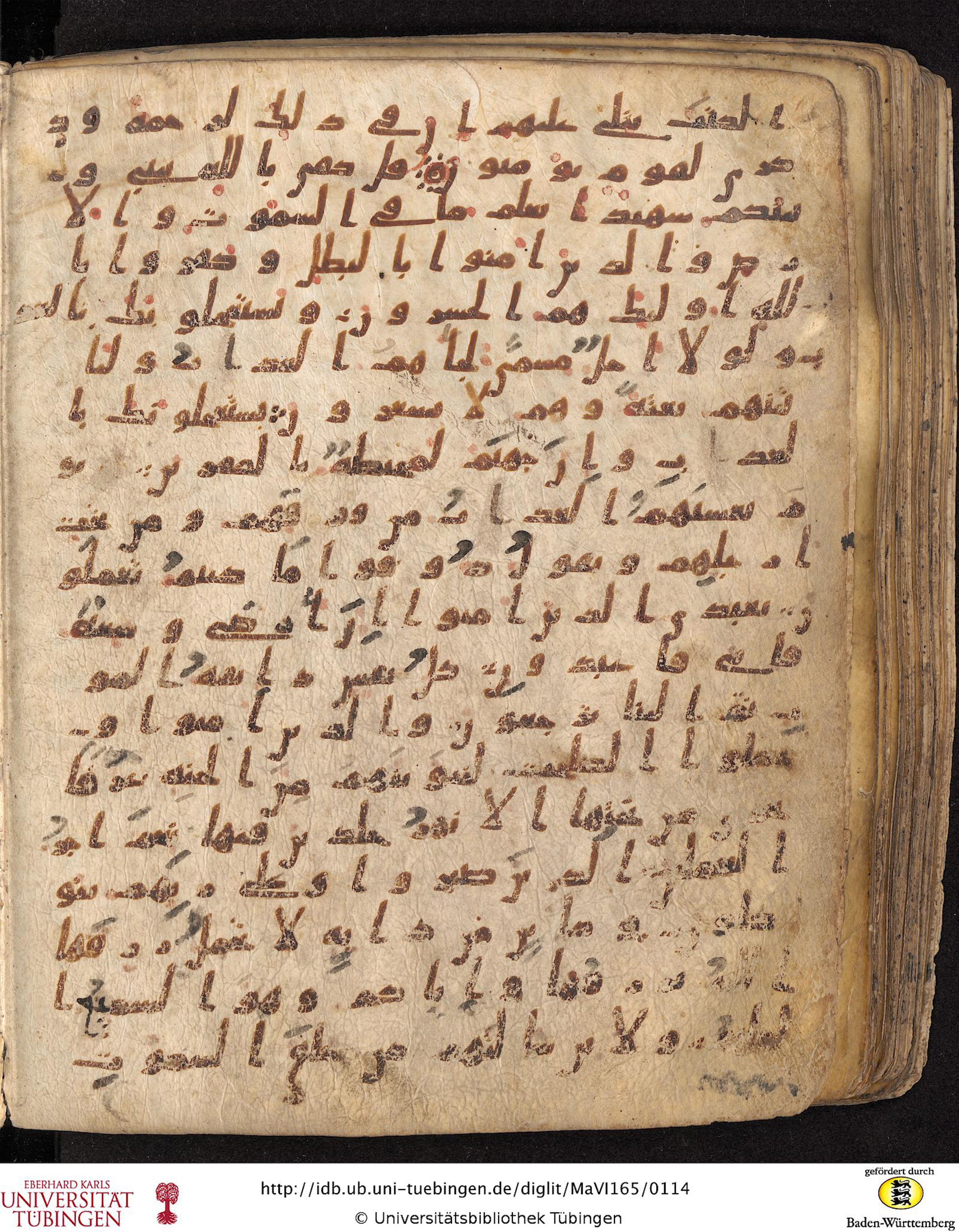 Staatsbibliothek zu Berlin, Ms. or. fol. 4313 (Scan 3), in Ḥiǧāzī (close to type II) script, showing Surah 29:52 from Mid to Late 7th Century AD found in Fustat (Old Cairo), Egypt, currently housed at Staatsbibliothek zu Berlin, Berlin