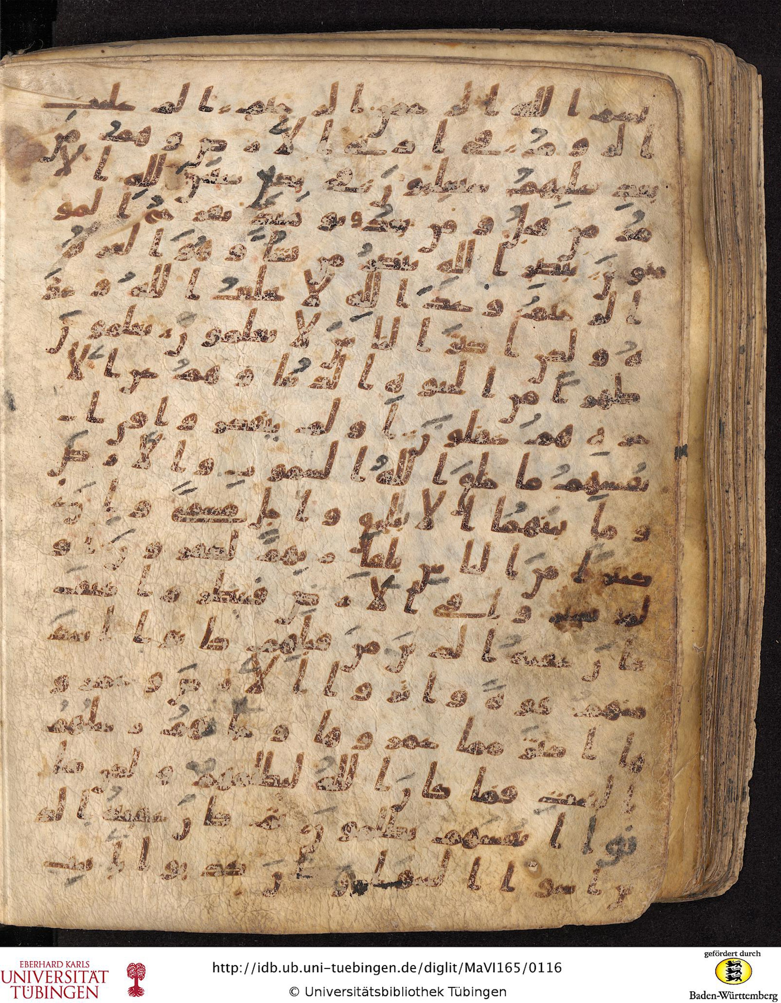 Staatsbibliothek zu Berlin, Ms. or. fol. 4313 (Scan 2), in Ḥiǧāzī (close to type II) script, showing Surah 30:2 from Mid to Late 7th Century AD found in Fustat (Old Cairo), Egypt, currently housed at Staatsbibliothek zu Berlin, Berlin