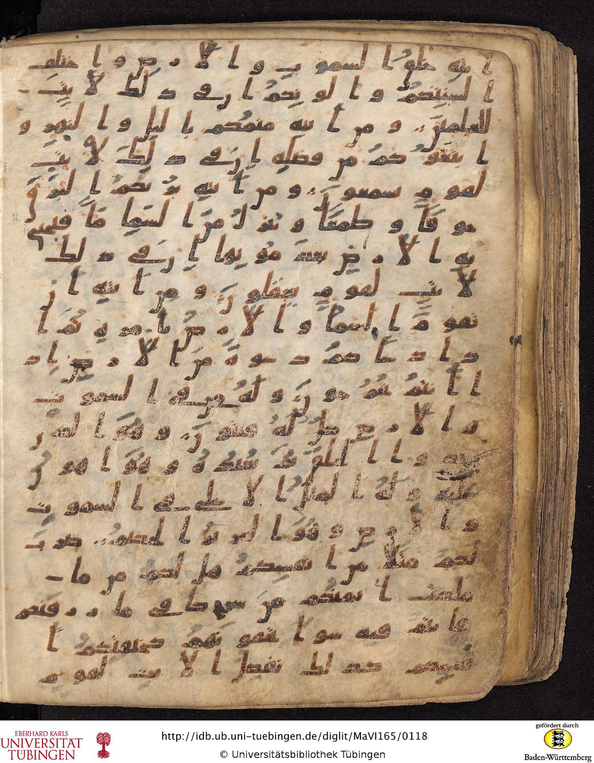 Staatsbibliothek zu Berlin, Ms. or. fol. 4313 (Scan 3), in Ḥiǧāzī (close to type II) script, showing Surah 30:22 from Mid to Late 7th Century AD found in Fustat (Old Cairo), Egypt, currently housed at Staatsbibliothek zu Berlin, Berlin