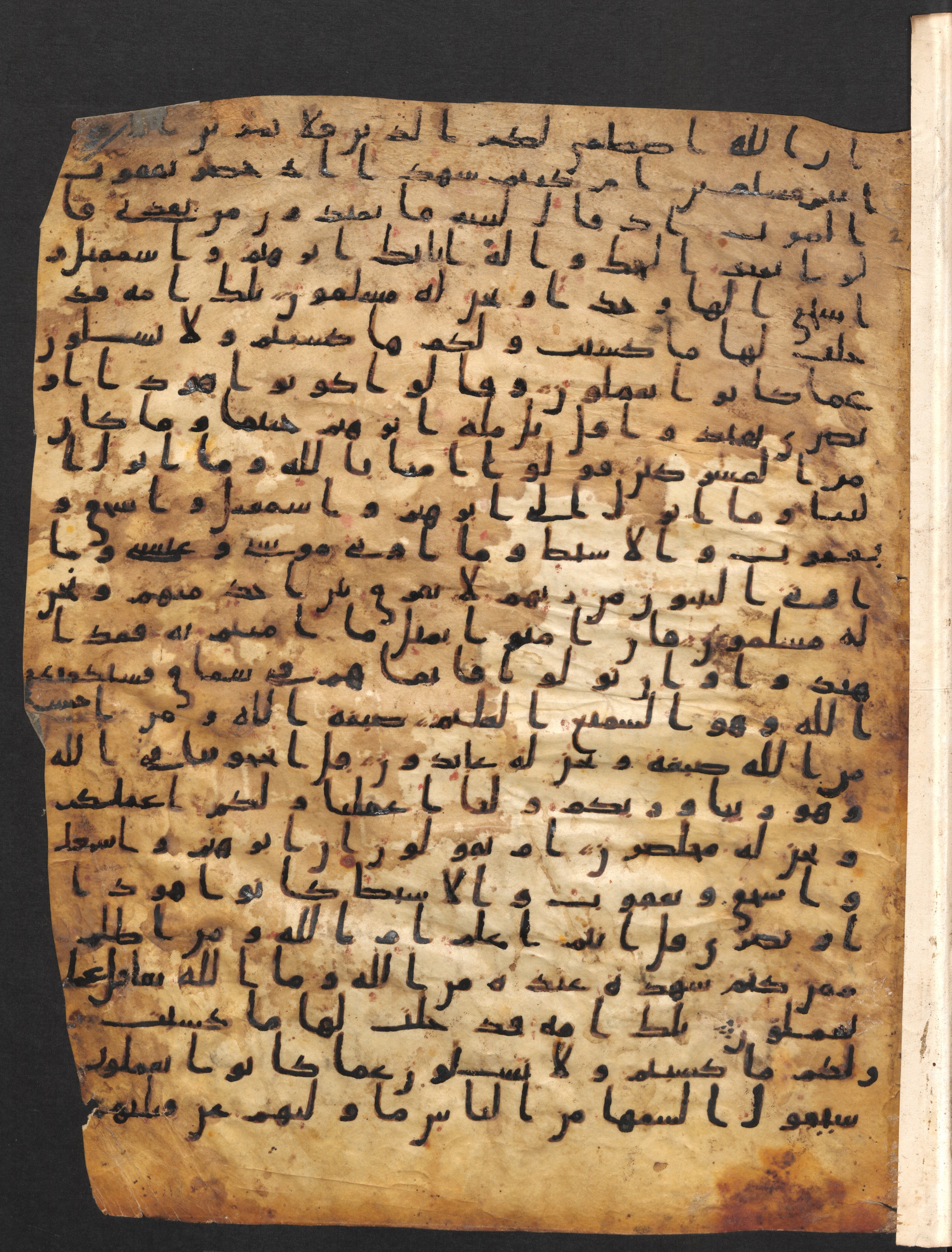Staatsbibliothek zu Berlin, Ms. or. fol. 4313 (Scan 3), in Ḥiǧāzī (close to type II) script, showing Surah 2:142 from Mid to Late 7th Century AD found in Fustat (Old Cairo), Egypt, currently housed at Staatsbibliothek zu Berlin, Berlin