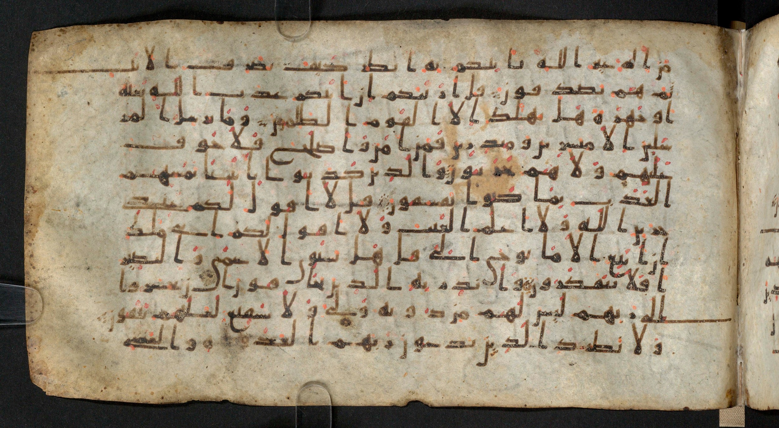 Staatsbibliothek zu Berlin, Ms. or. fol. 4313 (Scan 4), in Ḥiǧāzī (close to type II) script, showing Surah 6:49 from Mid to Late 7th Century AD found in Fustat (Old Cairo), Egypt, currently housed at Staatsbibliothek zu Berlin, Berlin