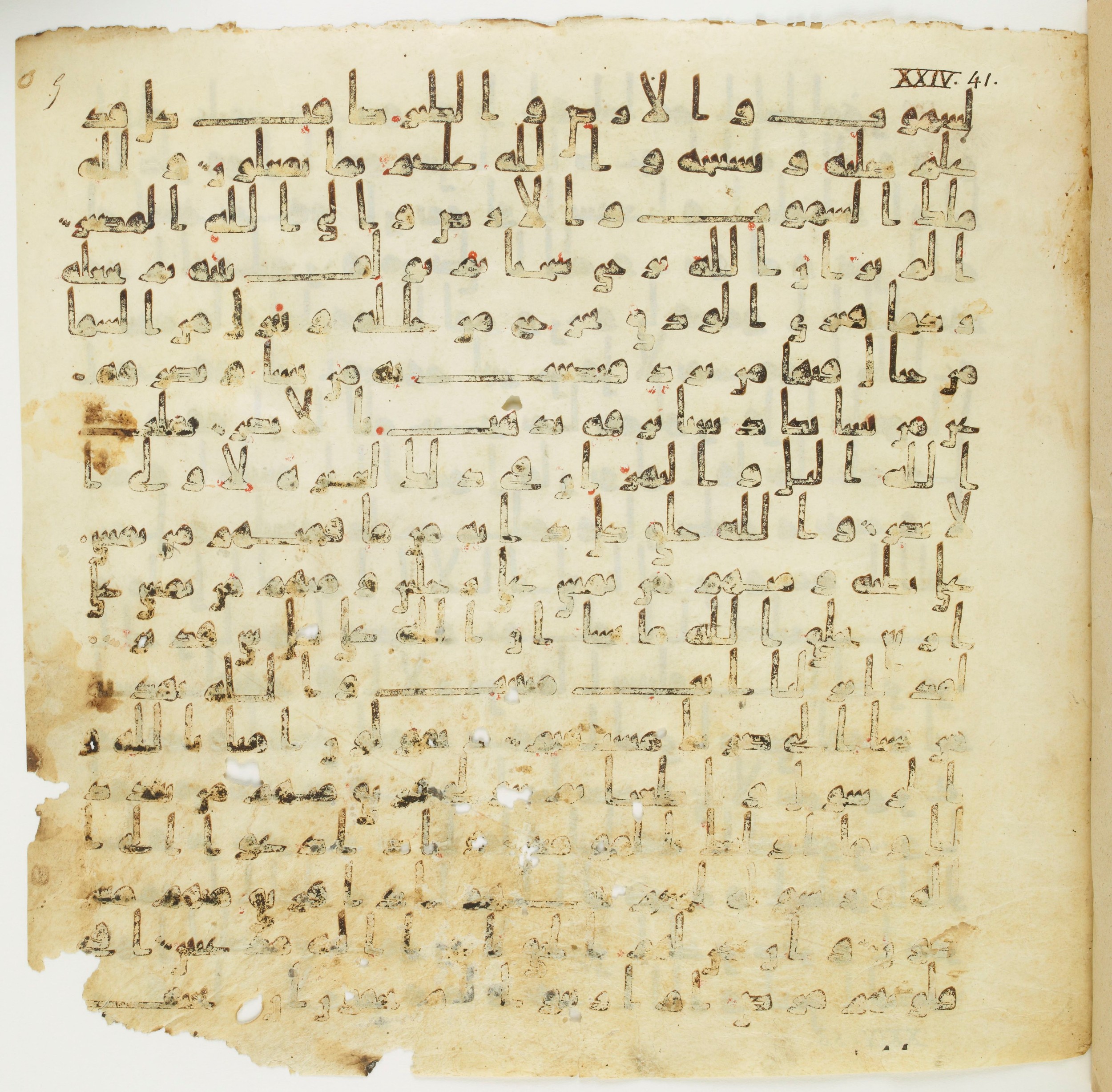 Staatsbibliothek zu Berlin, Ms. or. fol. 4313 (Scan 4), in Ḥiǧāzī (close to type II) script, showing Surah 24:49 from Mid to Late 7th Century AD found in Fustat (Old Cairo), Egypt, currently housed at Staatsbibliothek zu Berlin, Berlin