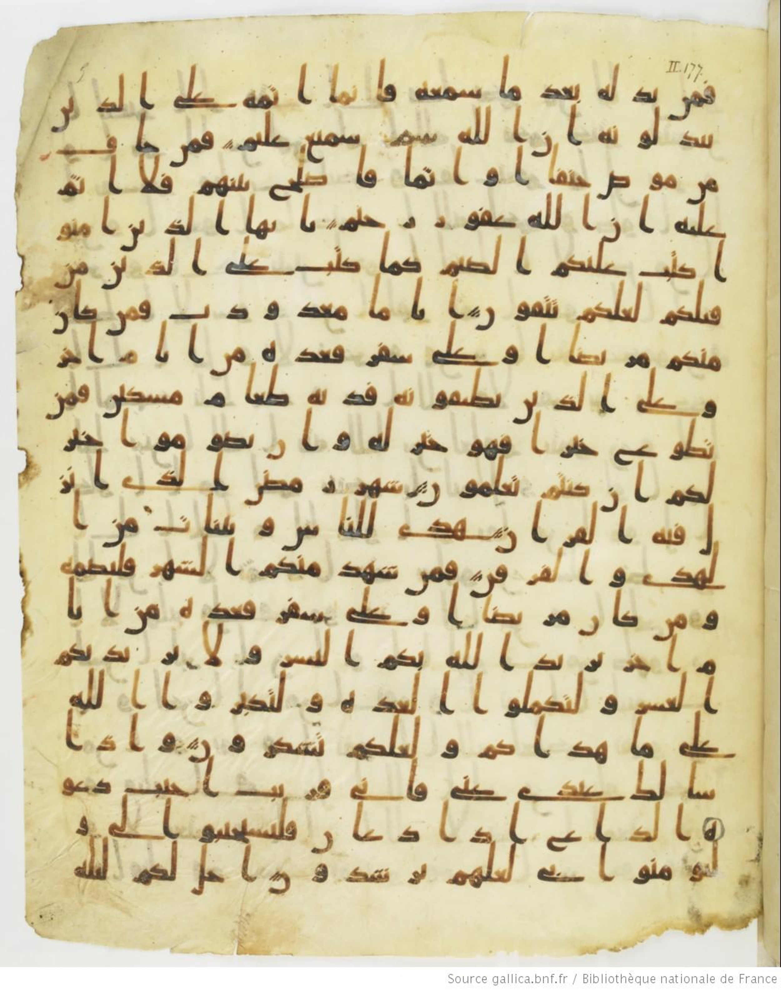 Staatsbibliothek zu Berlin, Ms. or. fol. 4313 (Scan 3), in Ḥiǧāzī (close to type II) script, showing Surah 2:183 from Mid to Late 7th Century AD found in Fustat (Old Cairo), Egypt, currently housed at Staatsbibliothek zu Berlin, Berlin