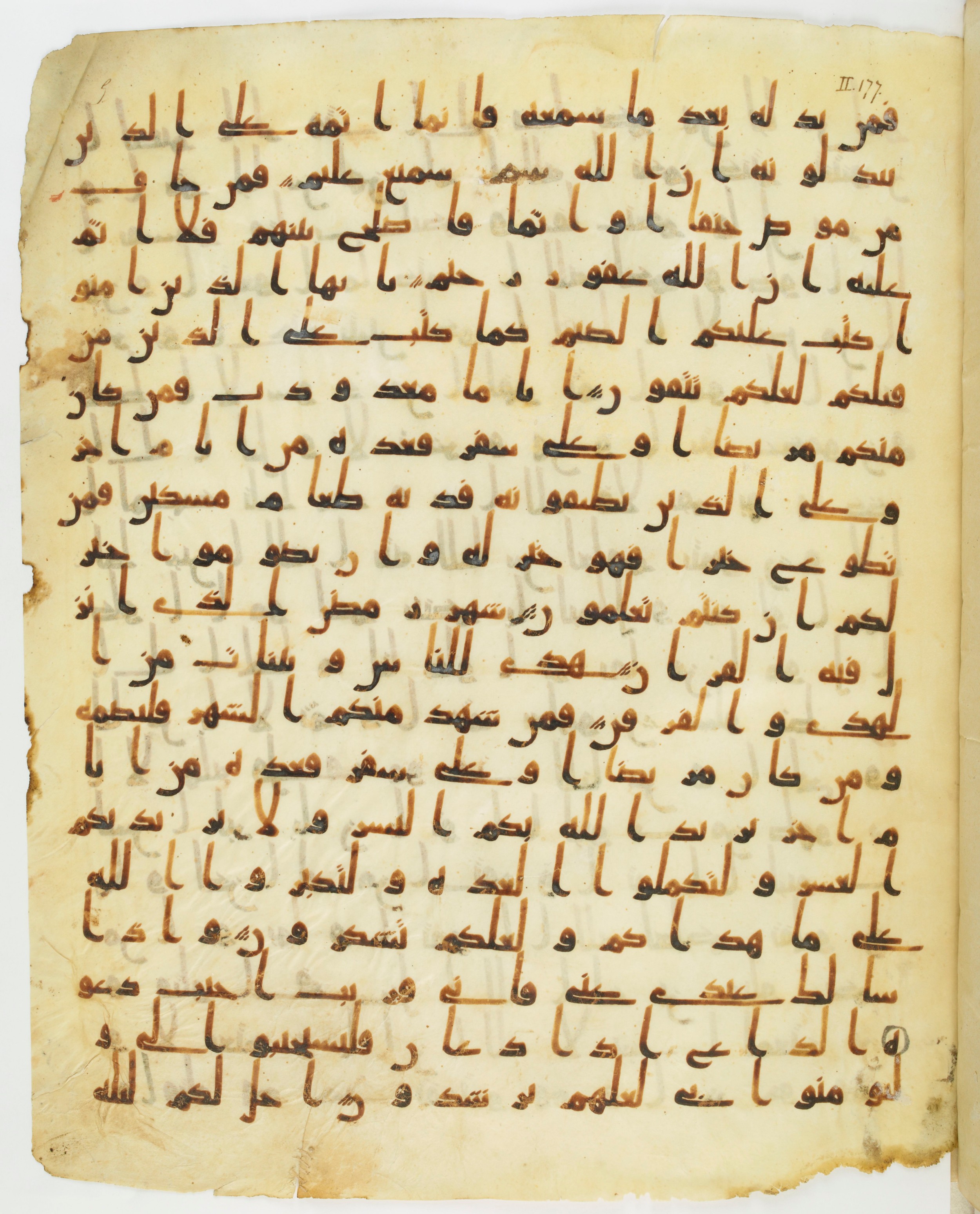 Staatsbibliothek zu Berlin, Ms. or. fol. 4313 (Scan 4), in Ḥiǧāzī (close to type II) script, showing Surah 2:183 from Mid to Late 7th Century AD found in Fustat (Old Cairo), Egypt, currently housed at Staatsbibliothek zu Berlin, Berlin