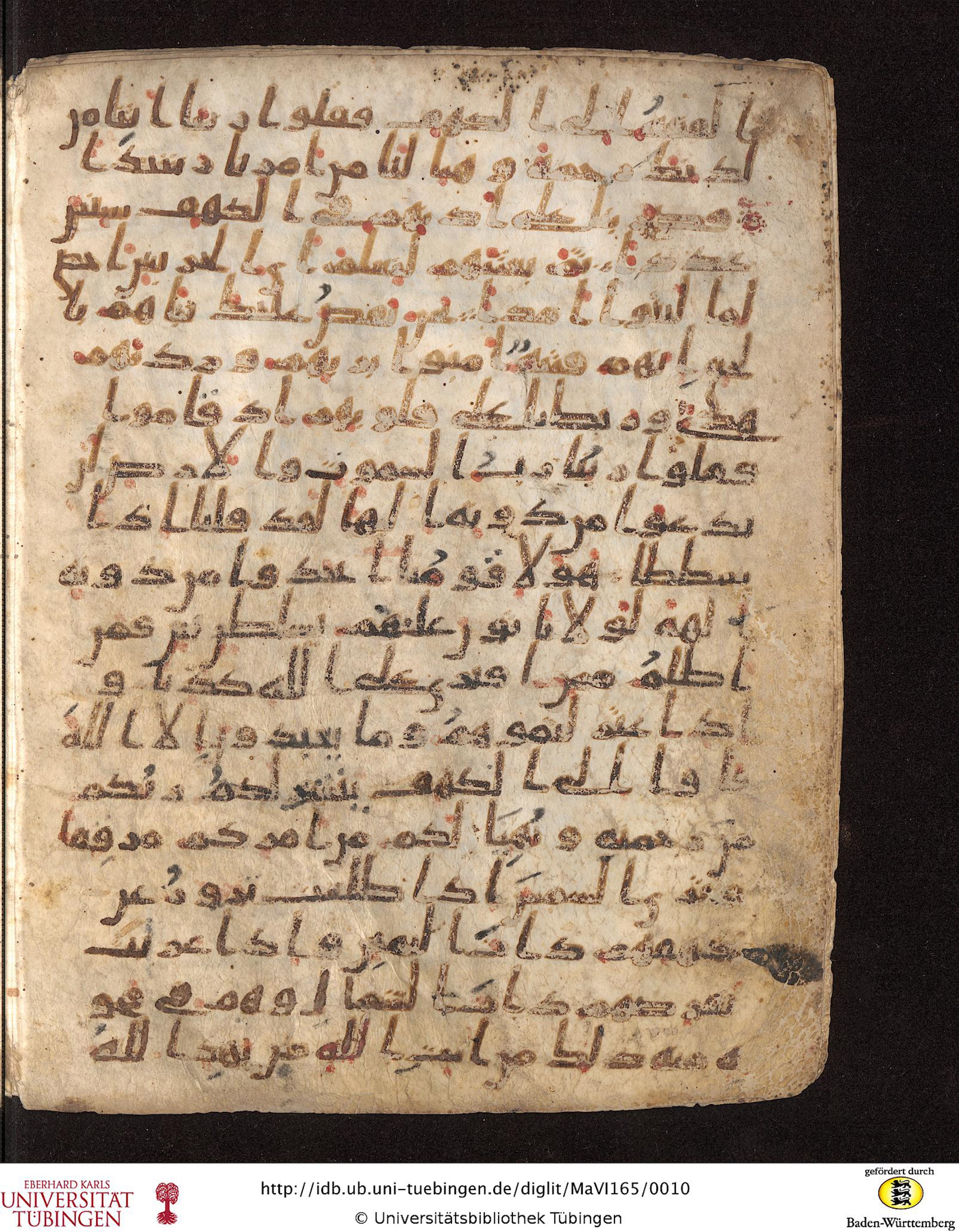 Staatsbibliothek zu Berlin, Ms. or. fol. 4313 (Scan 4), in Ḥiǧāzī (close to type II) script, showing Surah 18:13 from Mid to Late 7th Century AD found in Fustat (Old Cairo), Egypt, currently housed at Staatsbibliothek zu Berlin, Berlin