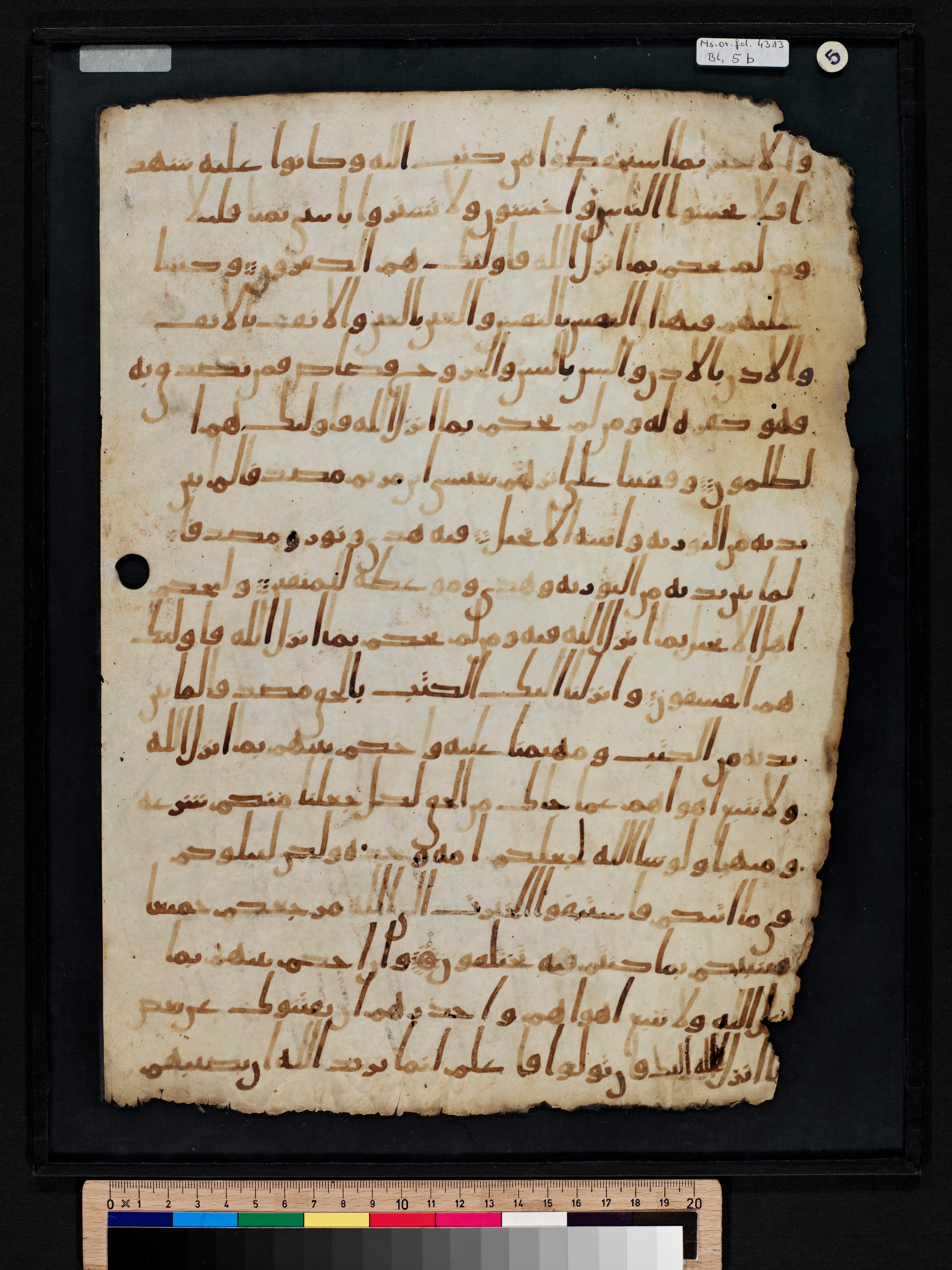 Staatsbibliothek zu Berlin, Ms. or. fol. 4313 (Scan 5), in Ḥiǧāzī (close to type II) script, showing Surah 5:48 from Mid to Late 7th Century AD found in Fustat (Old Cairo), Egypt, currently housed at Staatsbibliothek zu Berlin, Berlin