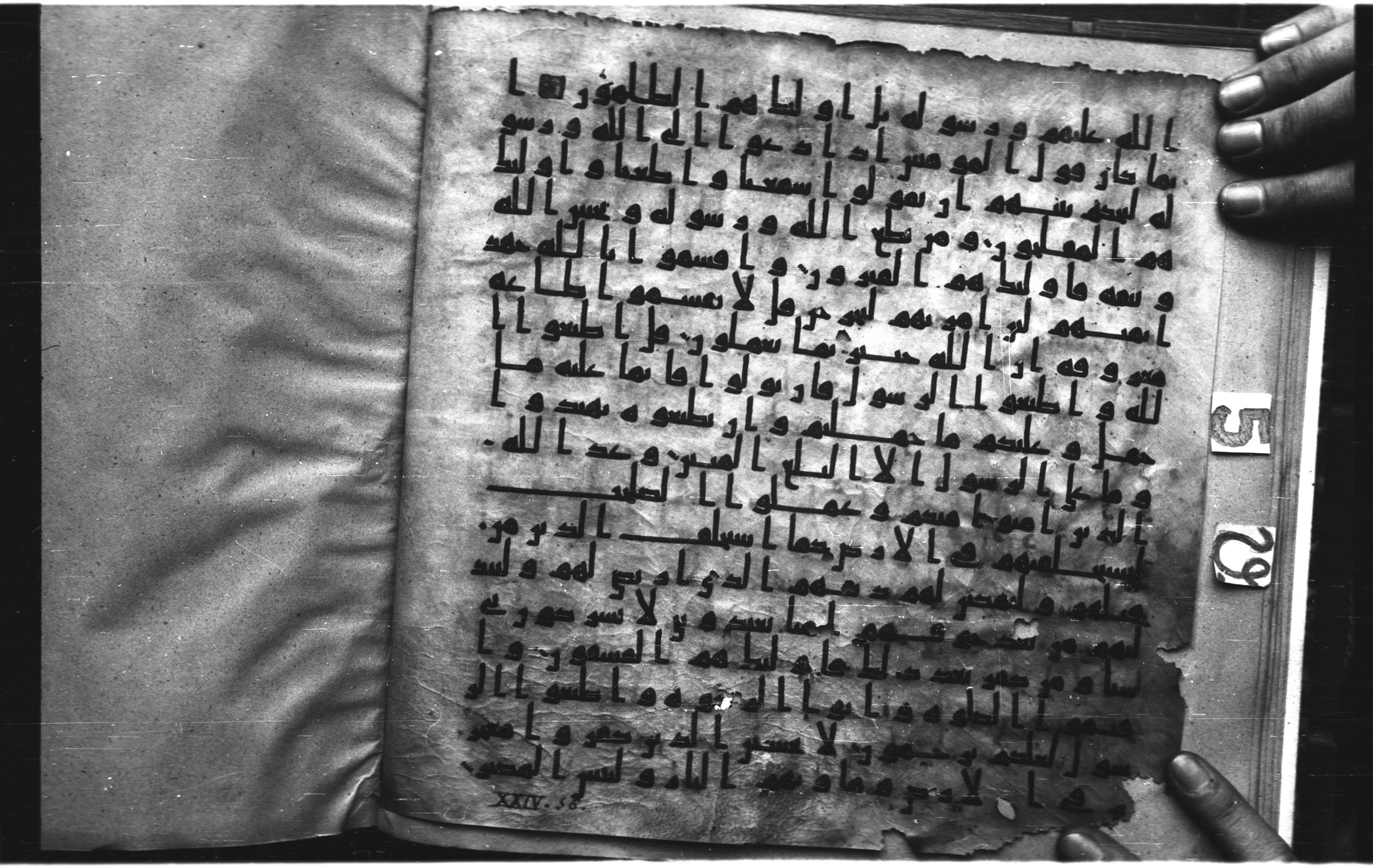 Staatsbibliothek zu Berlin, Ms. or. fol. 4313 (Scan 5), in Ḥiǧāzī (close to type II) script, showing Surah 24:52 from Mid to Late 7th Century AD found in Fustat (Old Cairo), Egypt, currently housed at Staatsbibliothek zu Berlin, Berlin