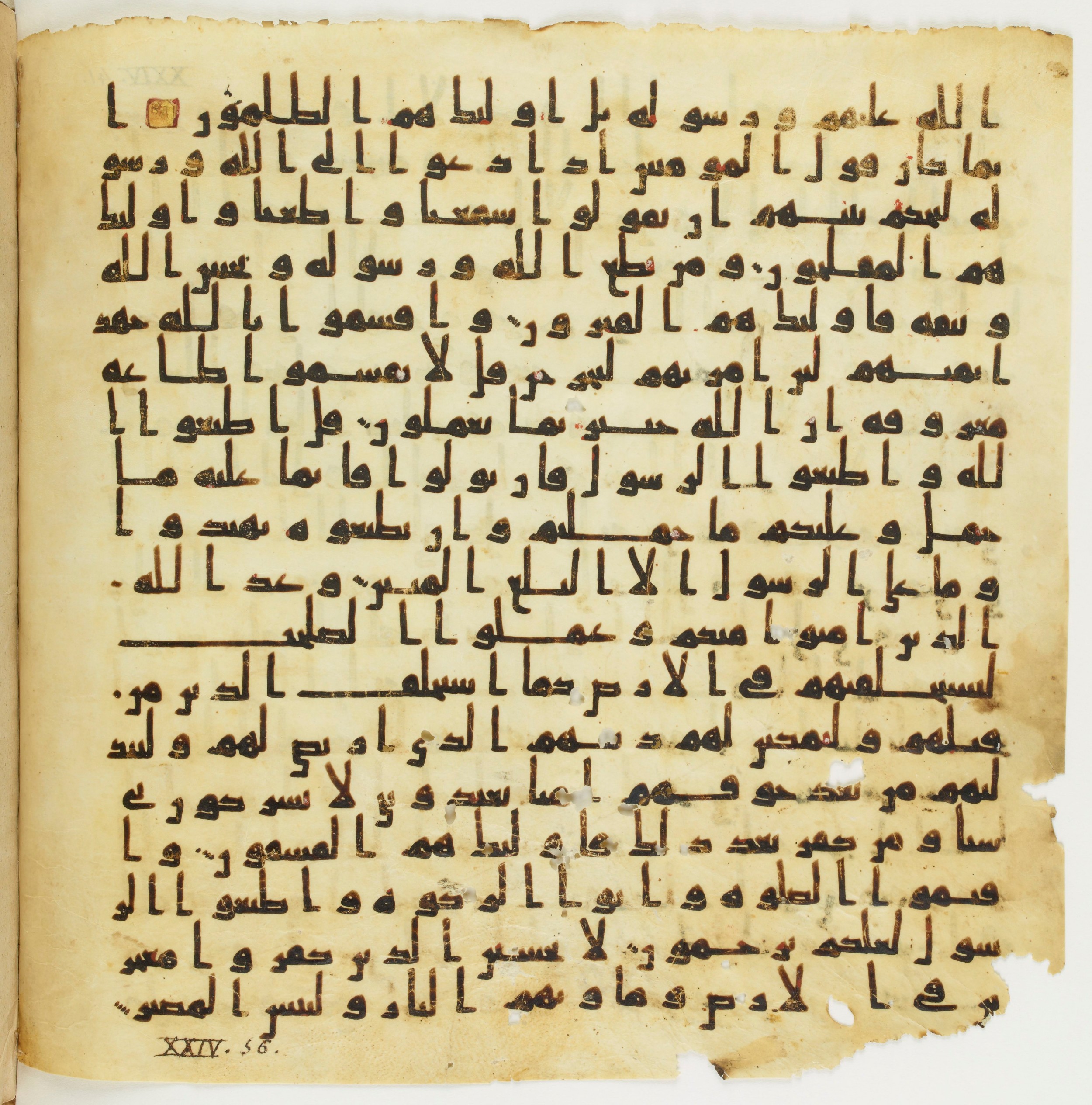 Staatsbibliothek zu Berlin, Ms. or. fol. 4313 (Scan 6), in Ḥiǧāzī (close to type II) script, showing Surah 24:52 from Mid to Late 7th Century AD found in Fustat (Old Cairo), Egypt, currently housed at Staatsbibliothek zu Berlin, Berlin