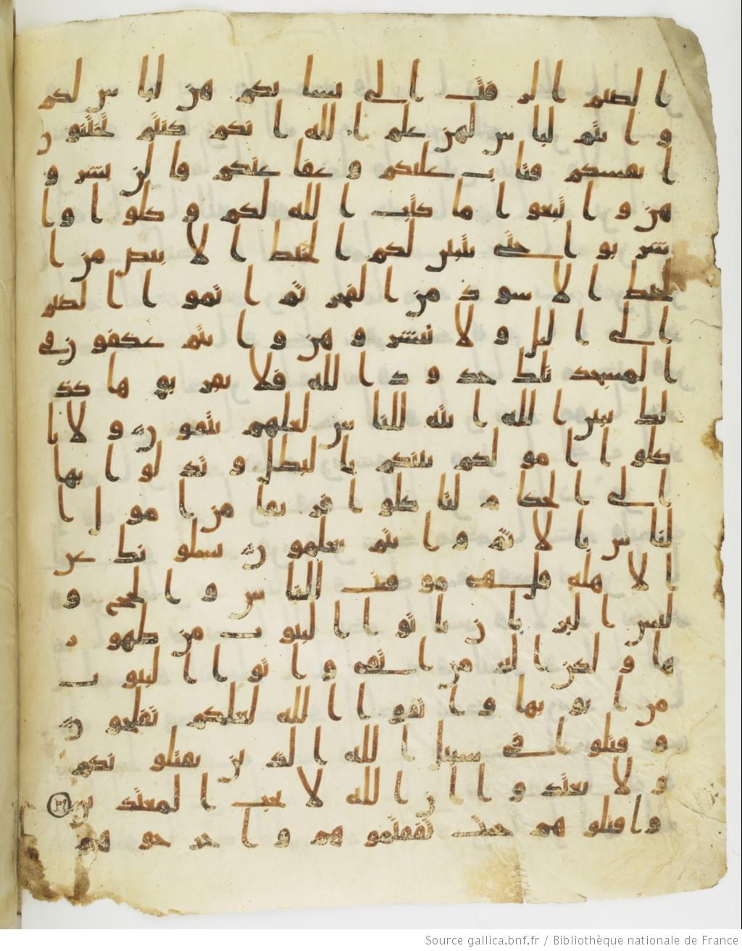 Staatsbibliothek zu Berlin, Ms. or. fol. 4313 (Scan 4), in Ḥiǧāzī (close to type II) script, showing Surah 2:187 from Mid to Late 7th Century AD found in Fustat (Old Cairo), Egypt, currently housed at Staatsbibliothek zu Berlin, Berlin