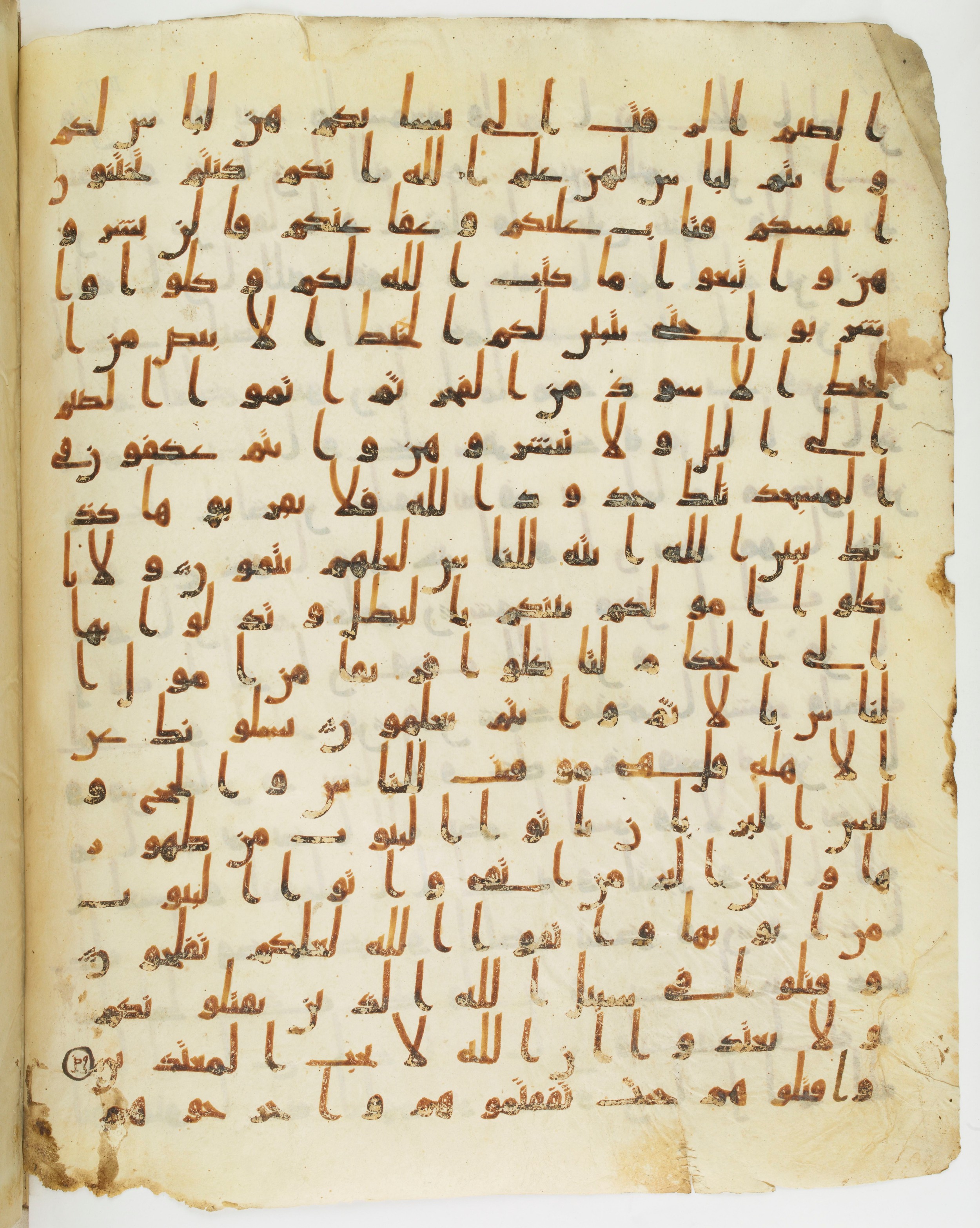 Staatsbibliothek zu Berlin, Ms. or. fol. 4313 (Scan 5), in Ḥiǧāzī (close to type II) script, showing Surah 2:187 from Mid to Late 7th Century AD found in Fustat (Old Cairo), Egypt, currently housed at Staatsbibliothek zu Berlin, Berlin