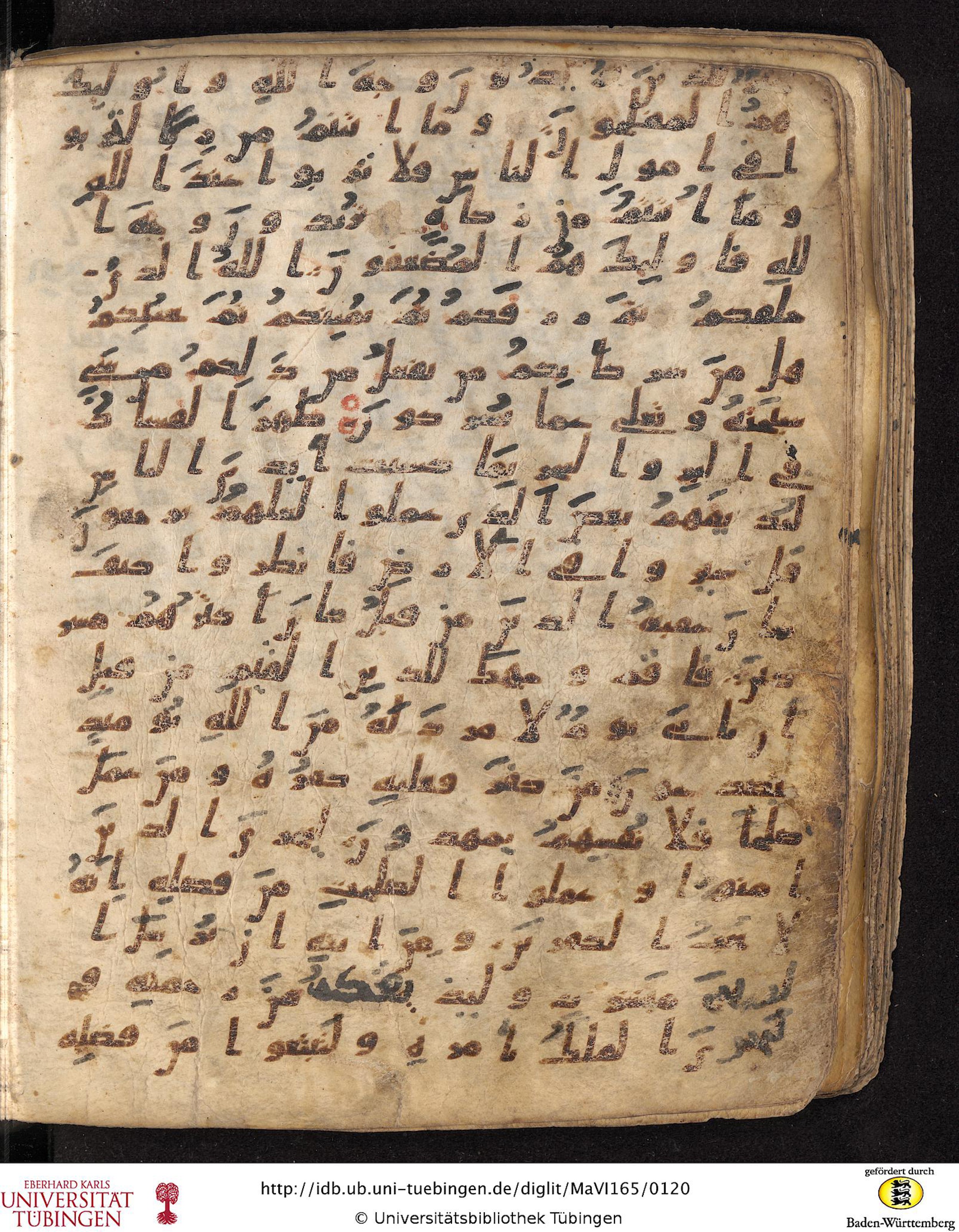 Staatsbibliothek zu Berlin, Ms. or. fol. 4313 (Scan 3), in Ḥiǧāzī (close to type II) script, showing Surah 30:40 from Mid to Late 7th Century AD found in Fustat (Old Cairo), Egypt, currently housed at Staatsbibliothek zu Berlin, Berlin