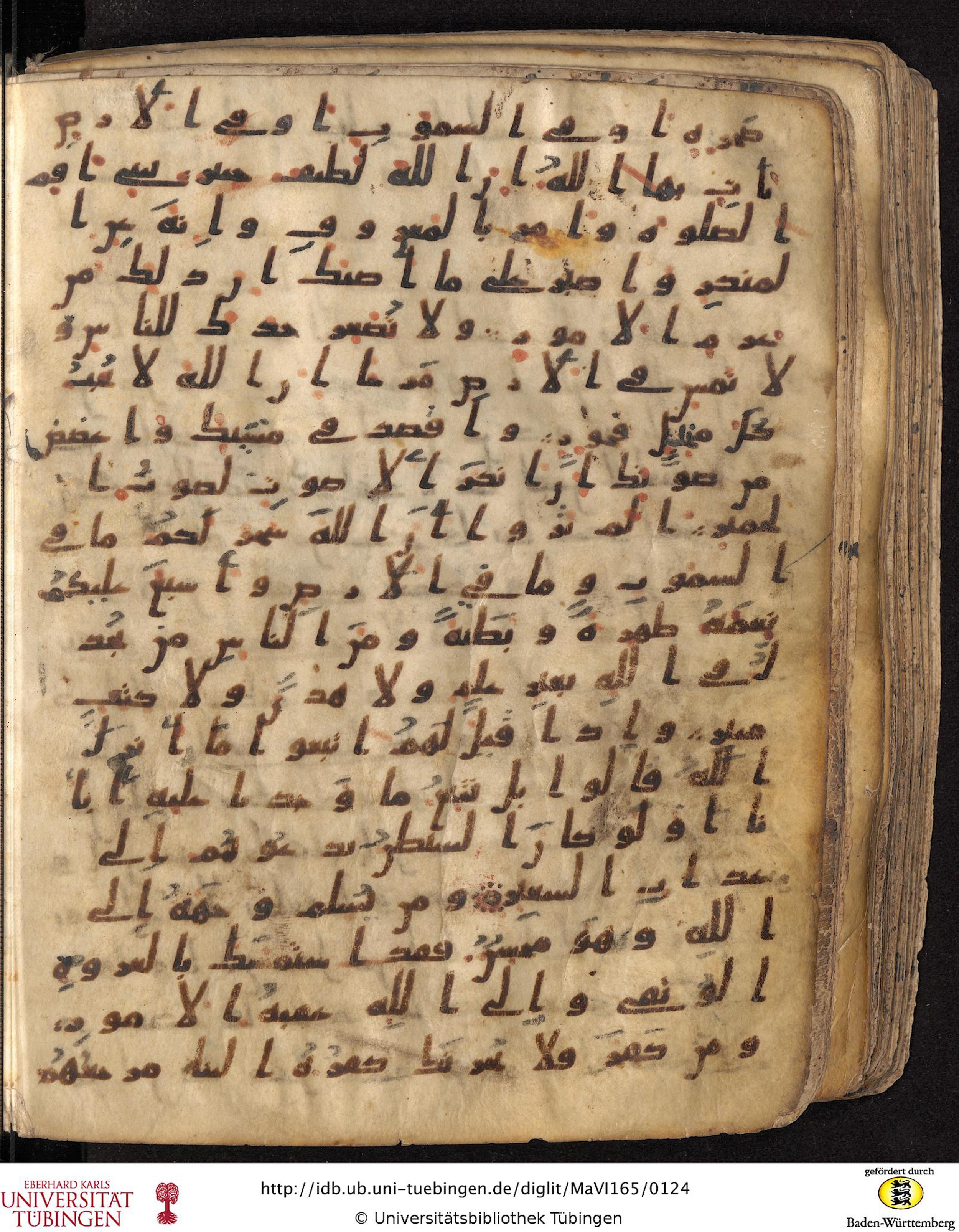 Staatsbibliothek zu Berlin, Ms. or. fol. 4313 (Scan 2), in Ḥiǧāzī (close to type II) script, showing Surah 31:21 from Mid to Late 7th Century AD found in Fustat (Old Cairo), Egypt, currently housed at Staatsbibliothek zu Berlin, Berlin